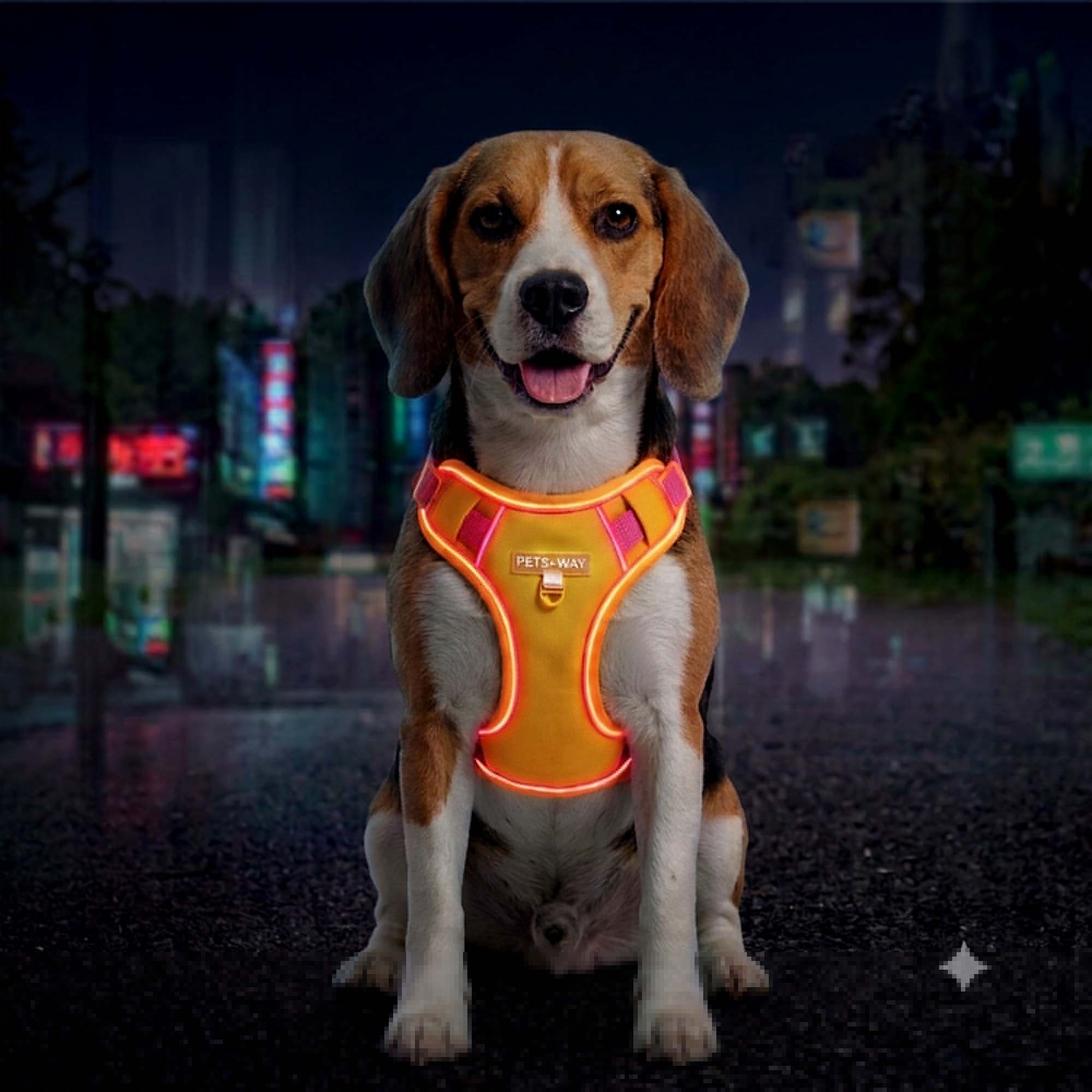 Urban Trail Harness Yellow