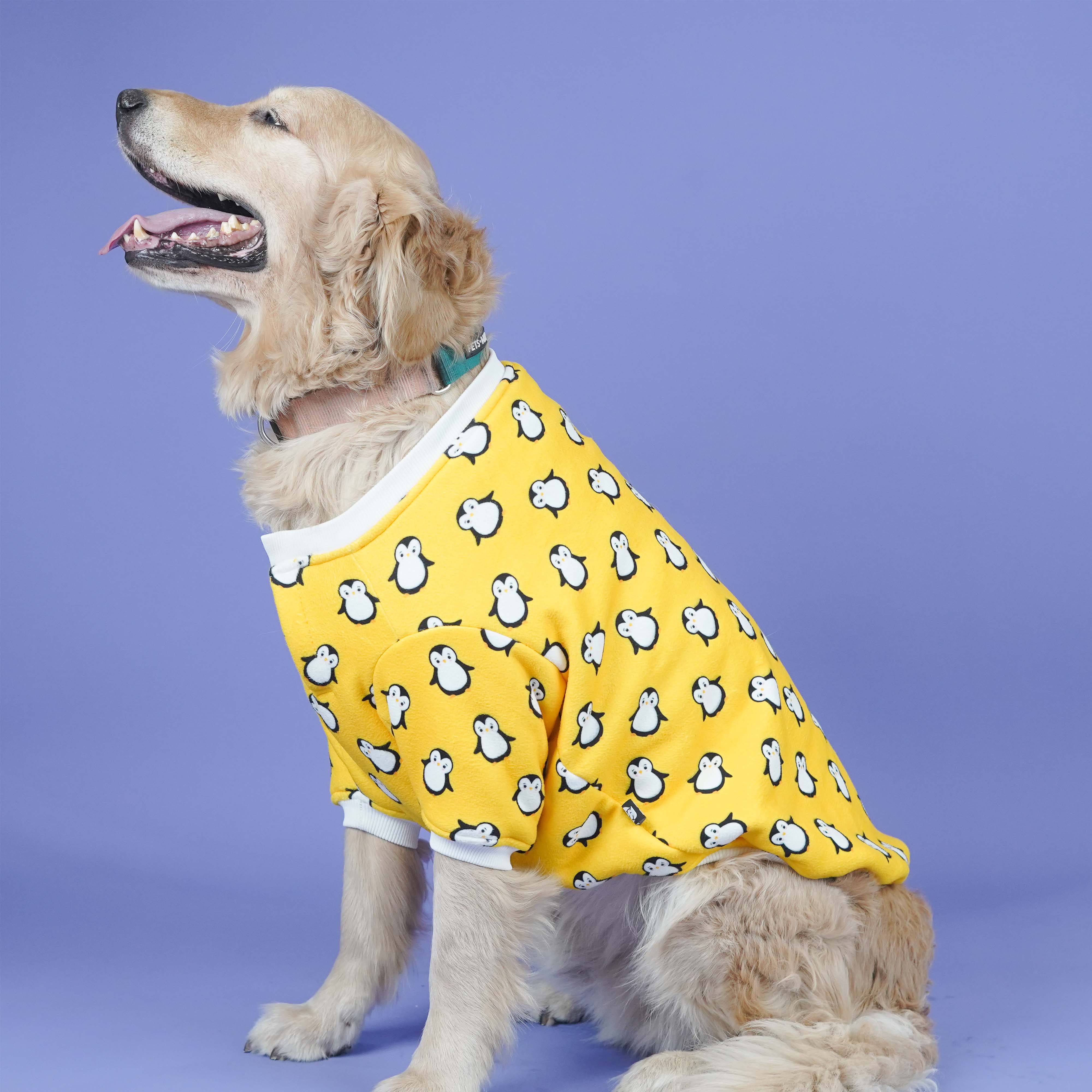 Pingu Dog Sweatshirt