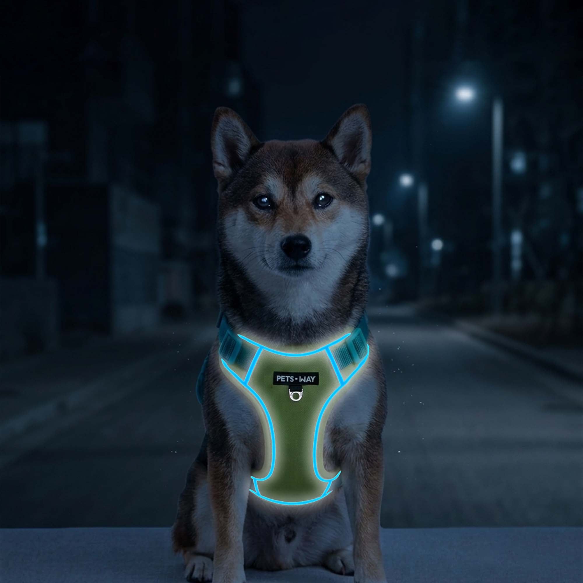 Urban Trail Harness Neon