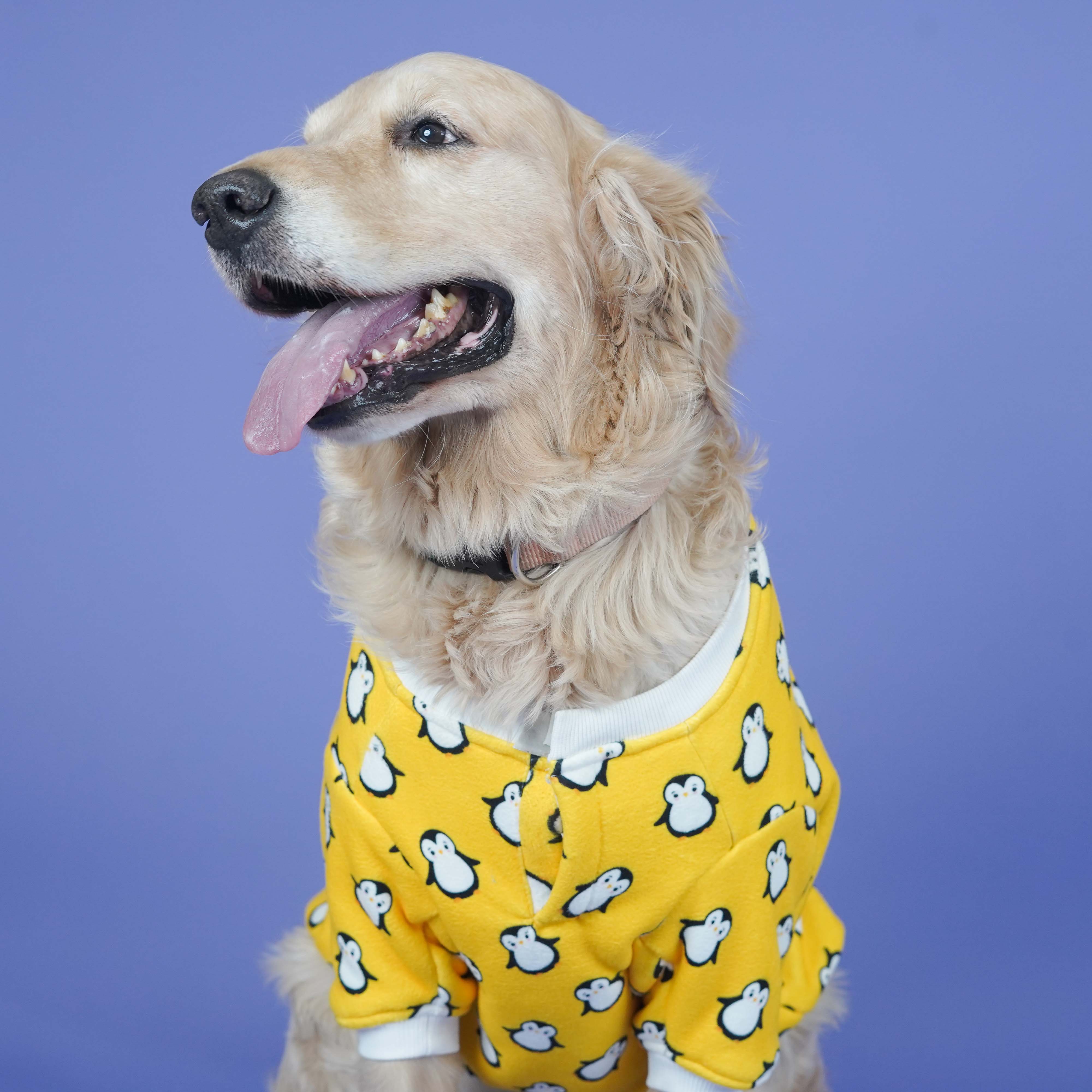 Pingu Dog Sweatshirt