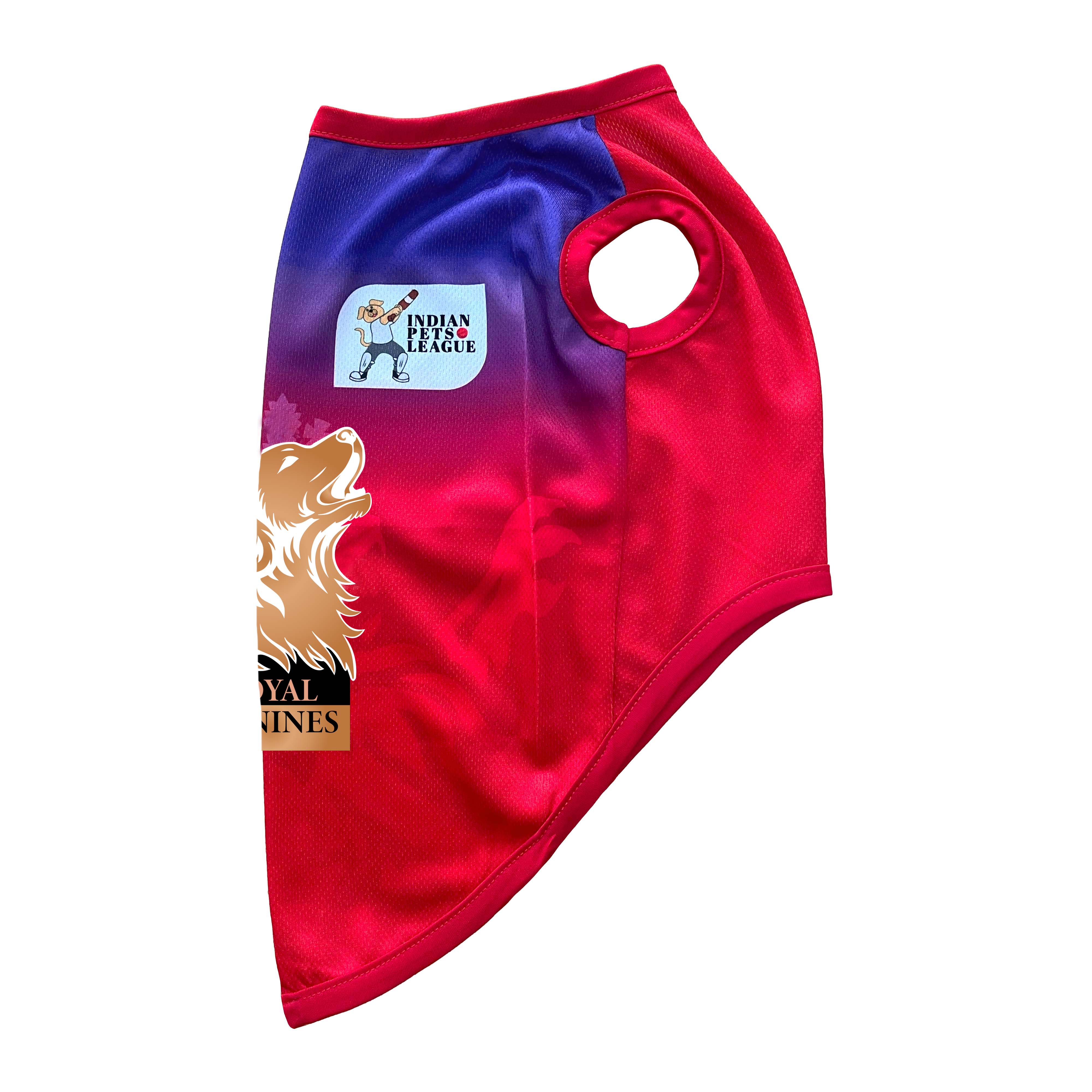 ROYAL CANINES BENGALURU IPL DOG VEST