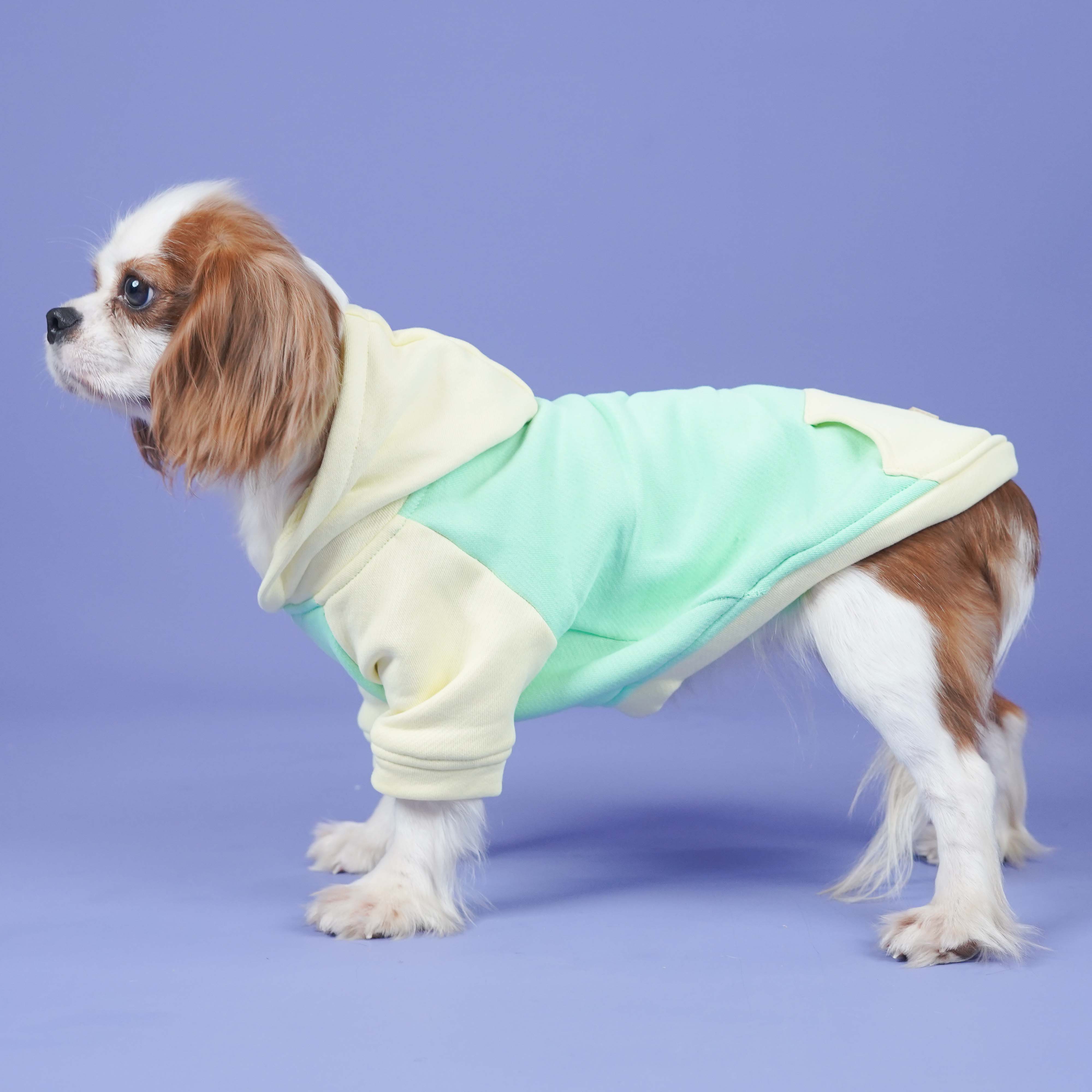 Icy Peak SweatShirt -Mint