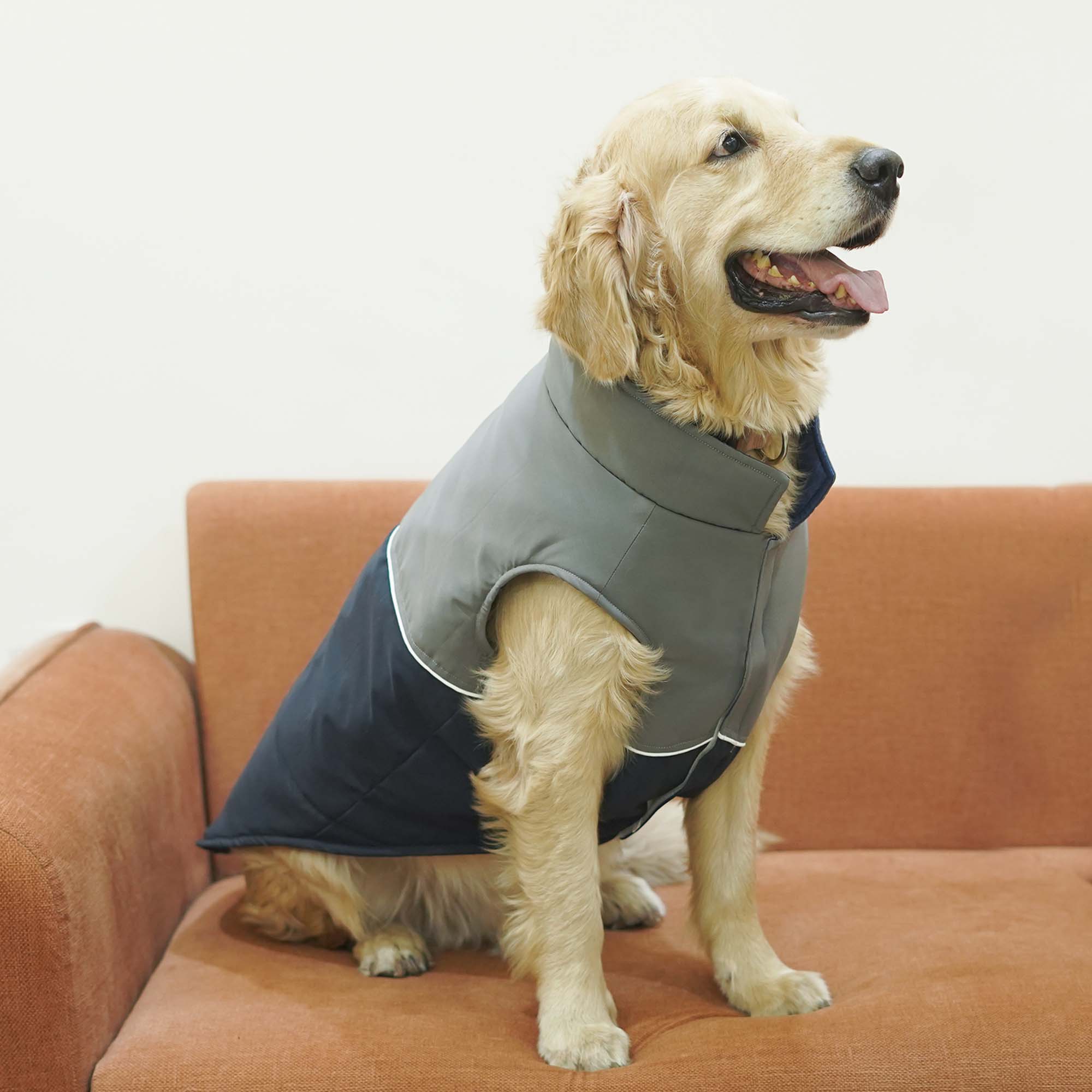 Crazy Frost- Navy Dog Jacket