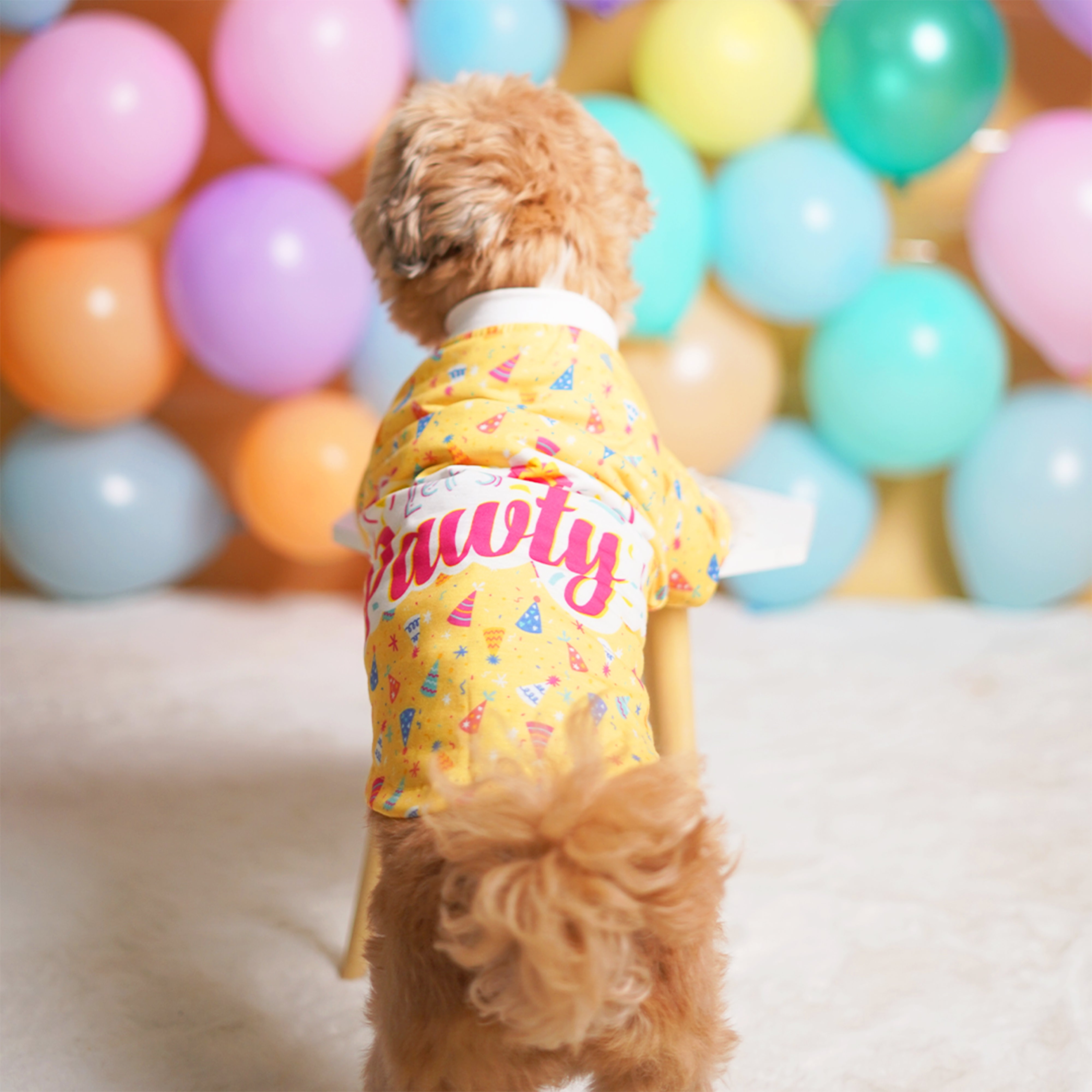 Birthday Dog T-Shirt - Yellow