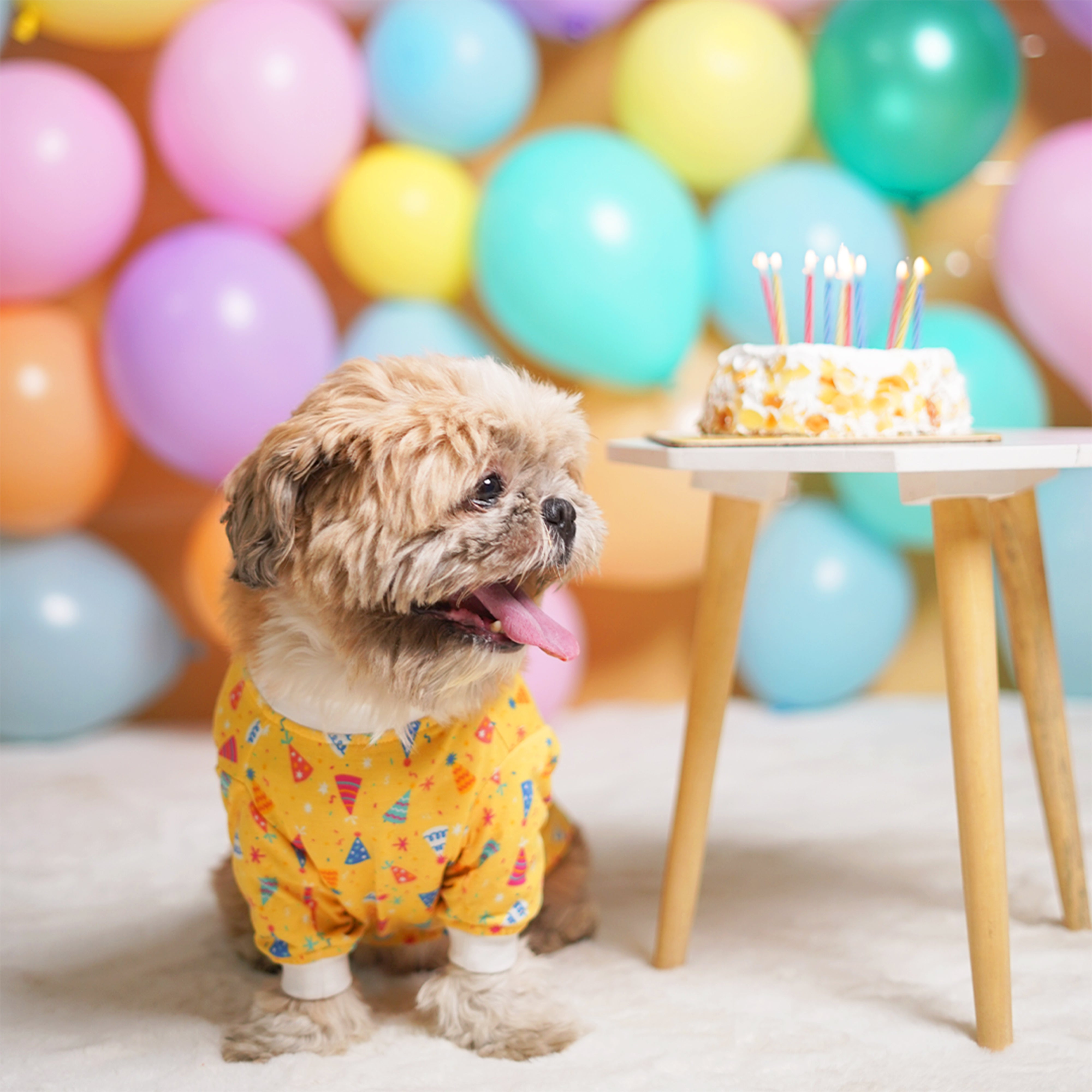 Birthday Dog T-Shirt - Yellow