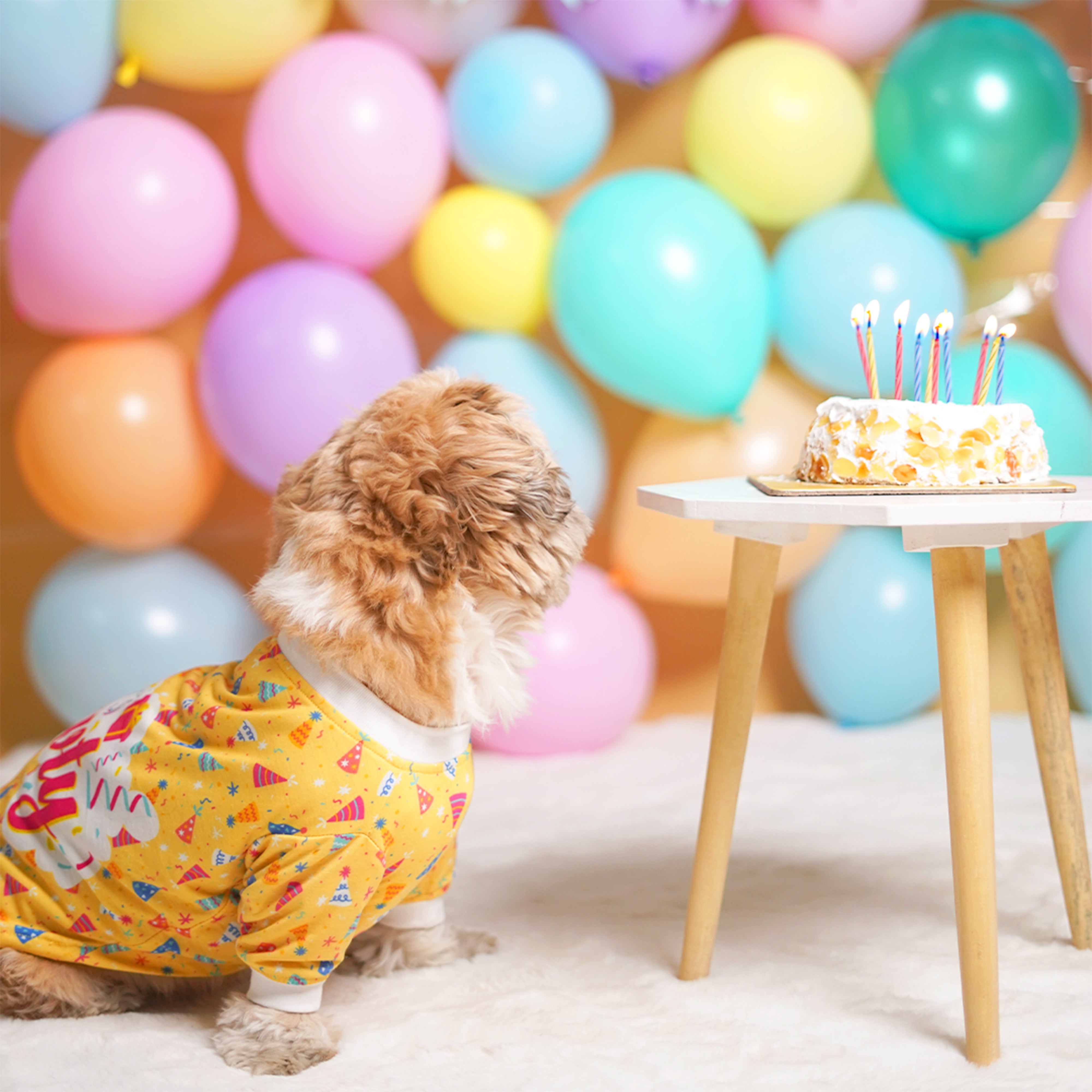 Birthday Dog T-Shirt - Yellow