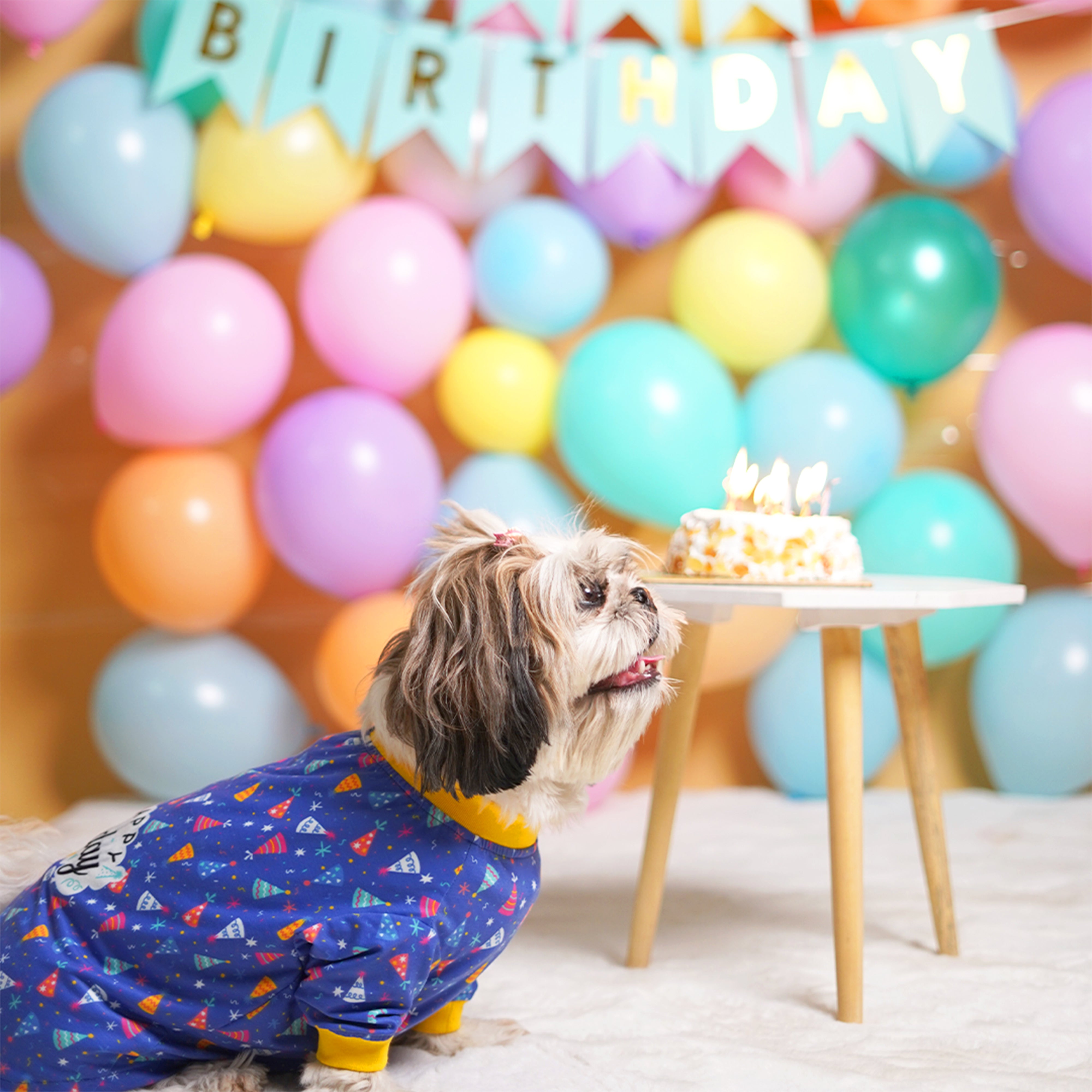 Birthday Dog T-Shirt - Blue