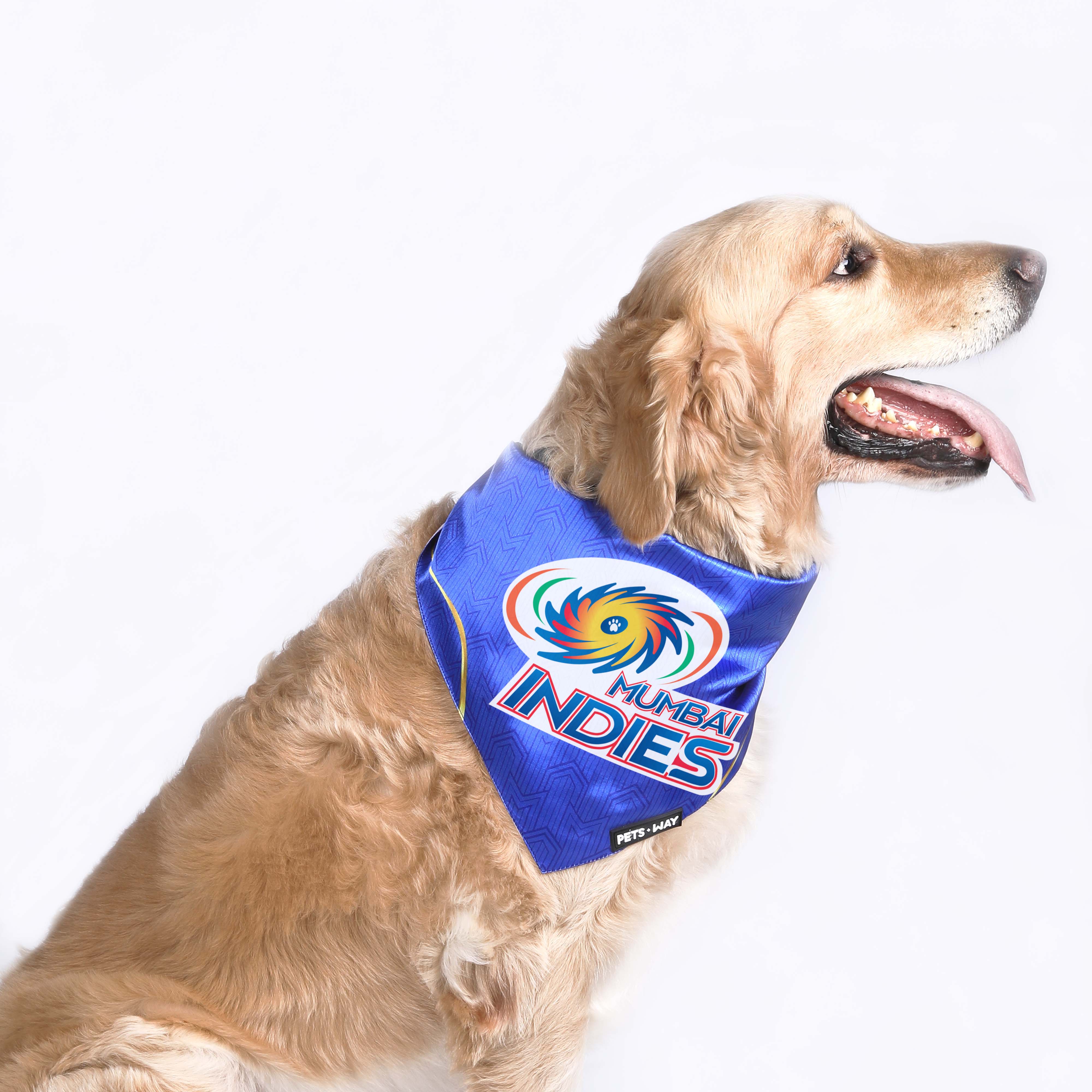 MI IPL Dog Bandana