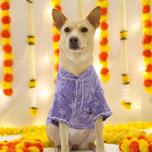 Bandhani - Dust Blue Dog kurta