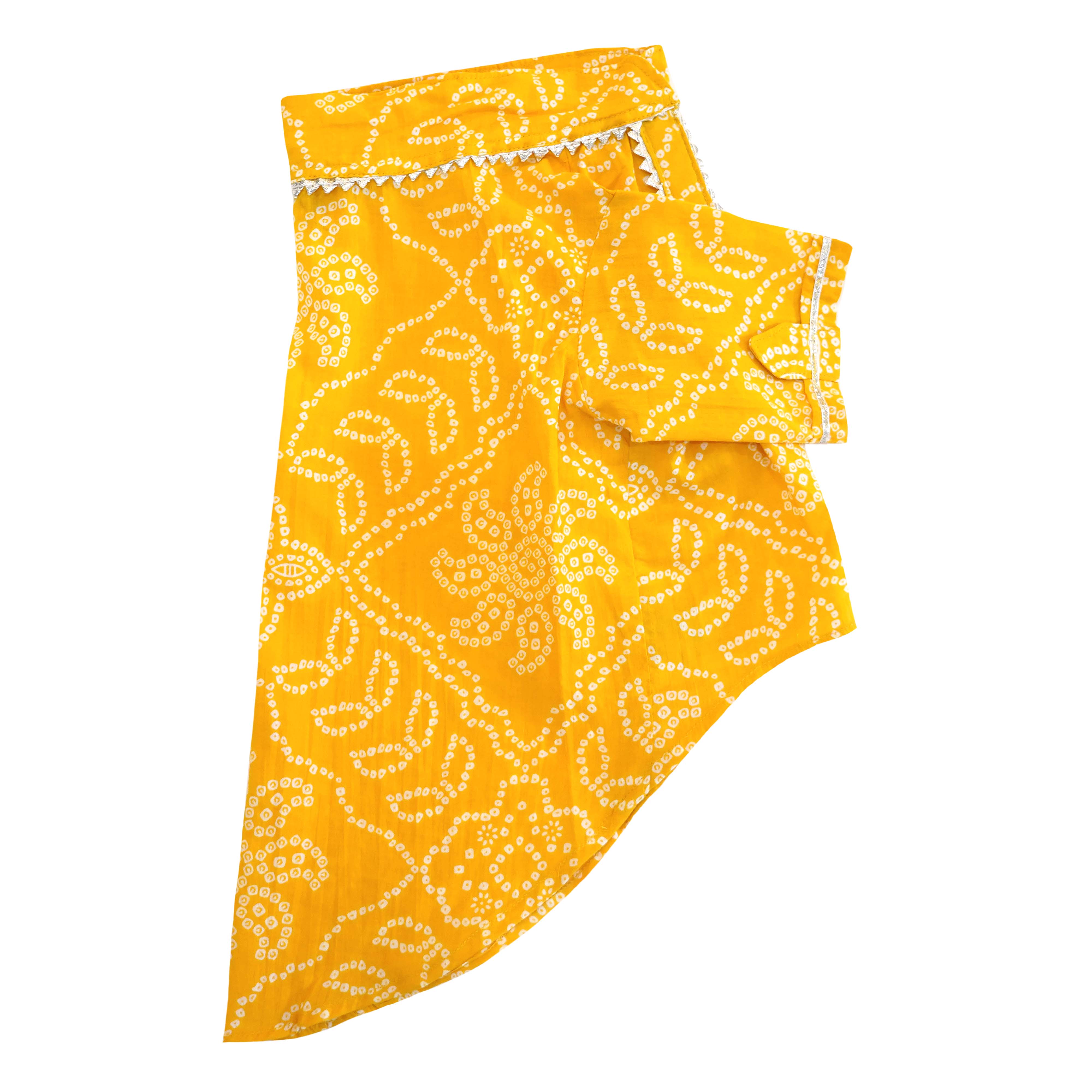 Pataka & Bandhani Dog kurta Combo