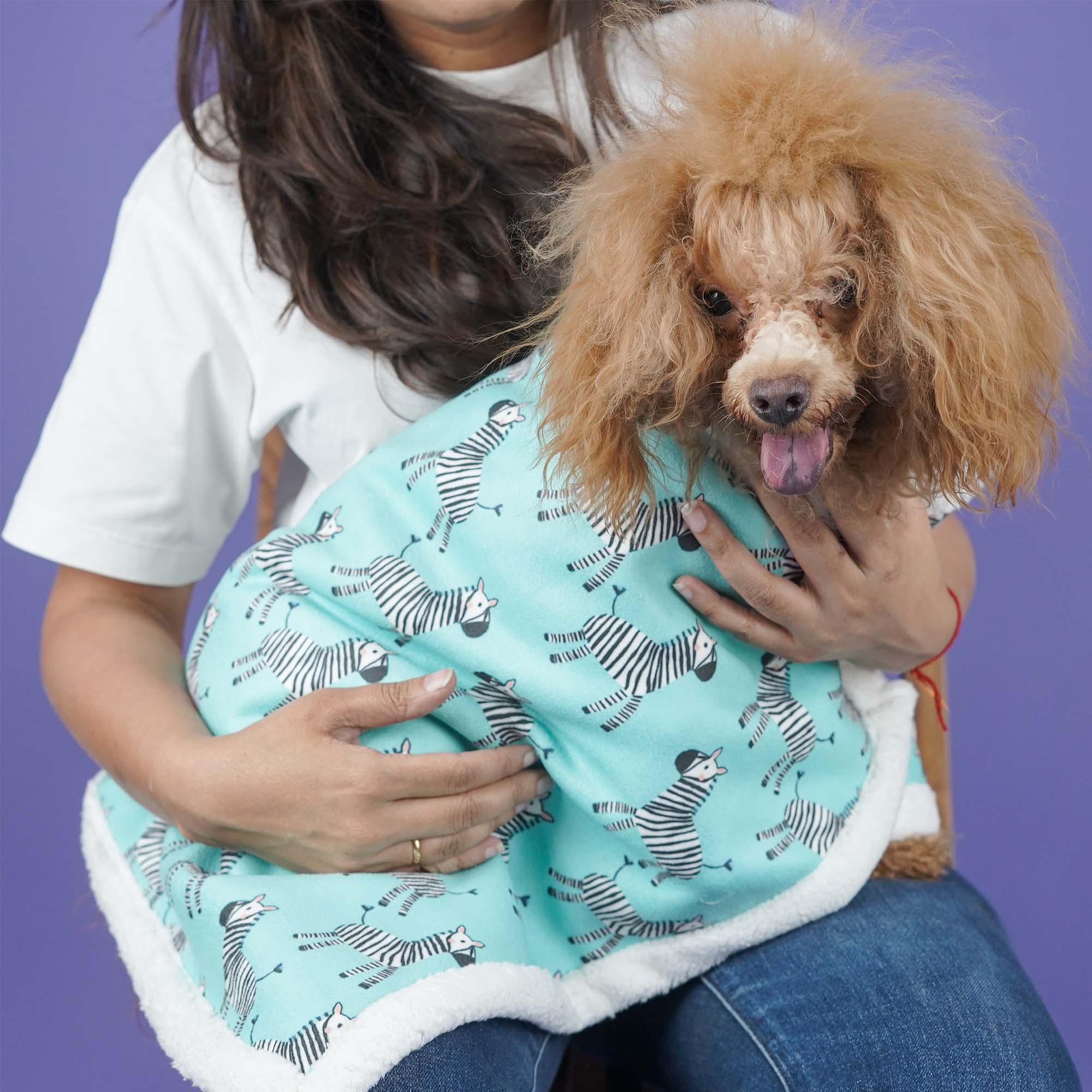 Zebra Dog Pet Blanket