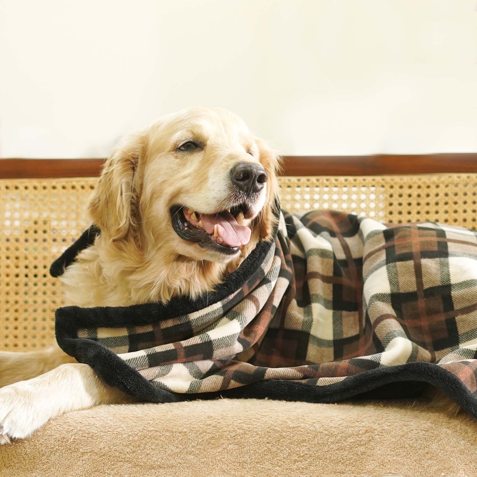 Checks Brownie Blanket – Soft, Stylish & Durable Pet Blanket
