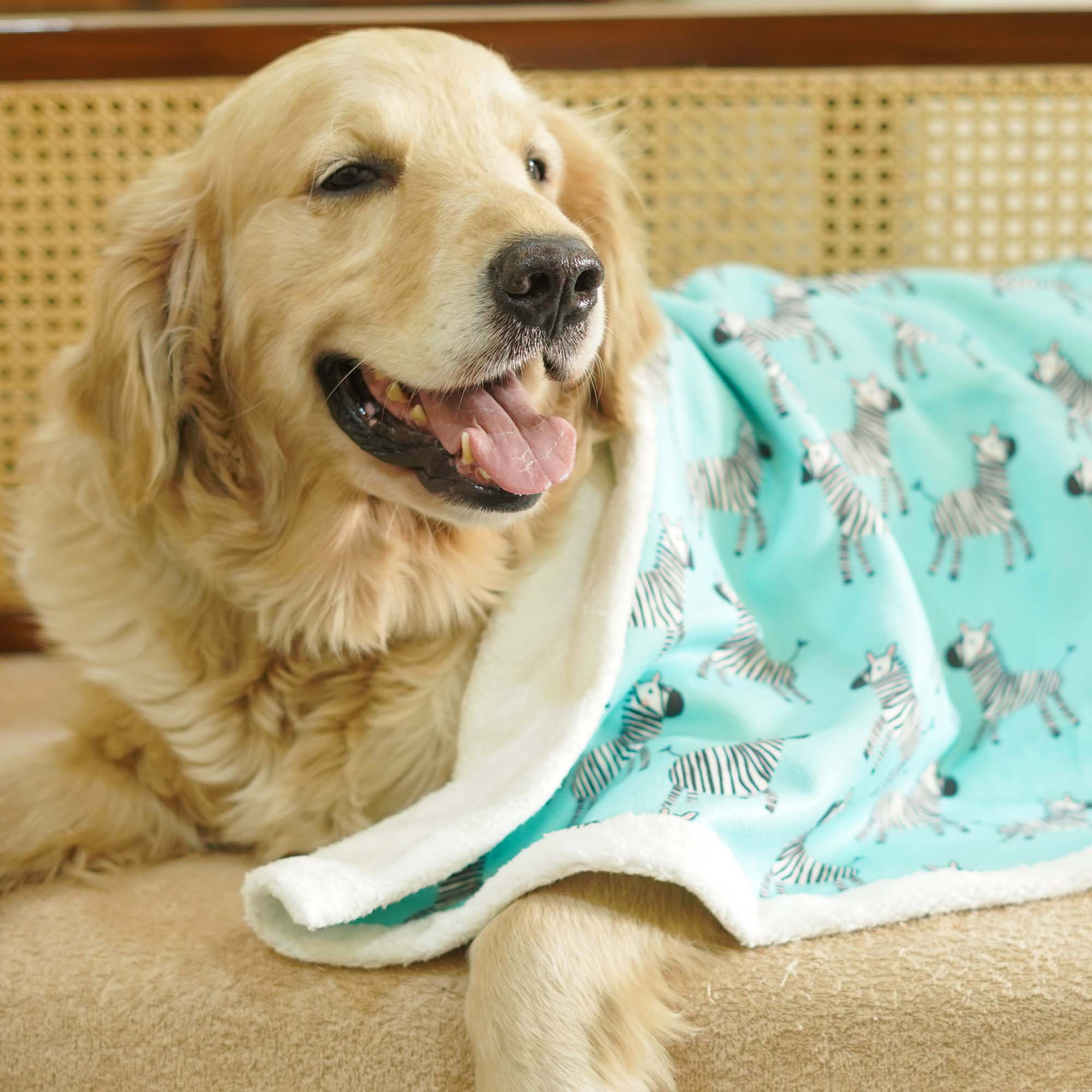 Zebra Dog Pet Blanket