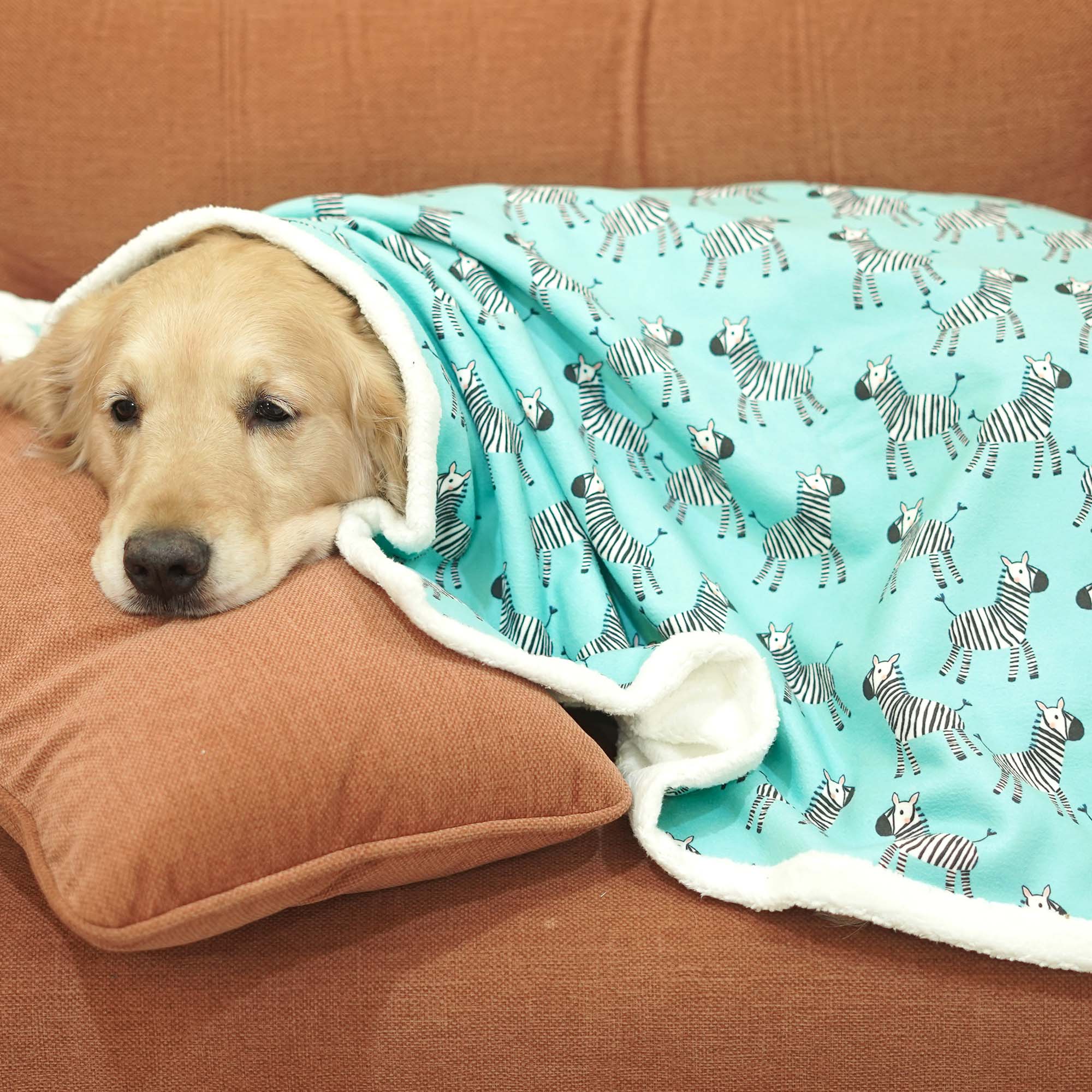 Zebra Dog Pet Blanket