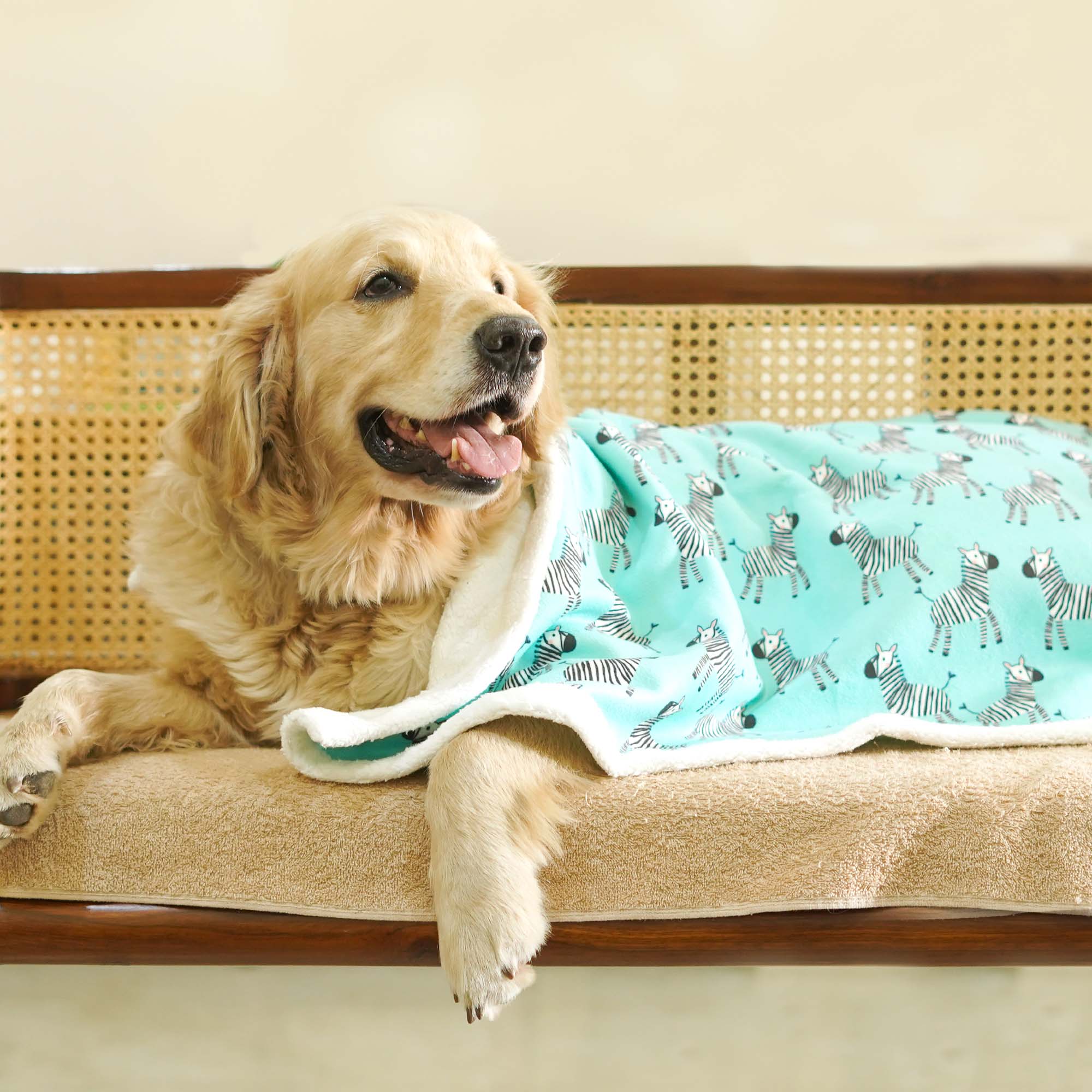 Zebra Dog Pet Blanket