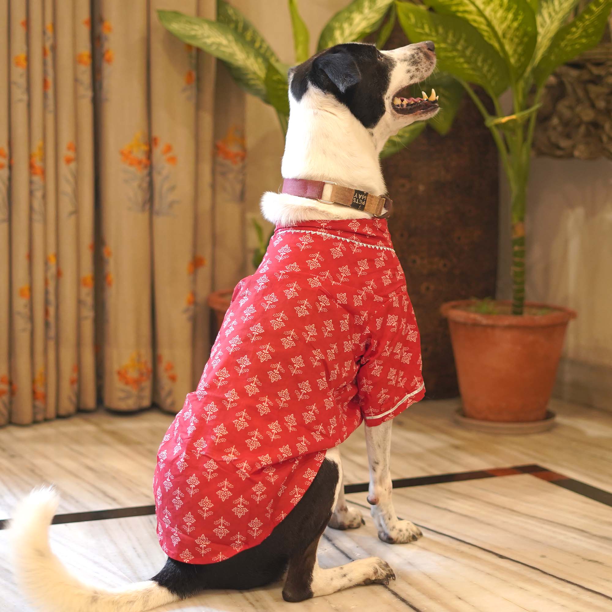Block - Cherry Dog Kurta