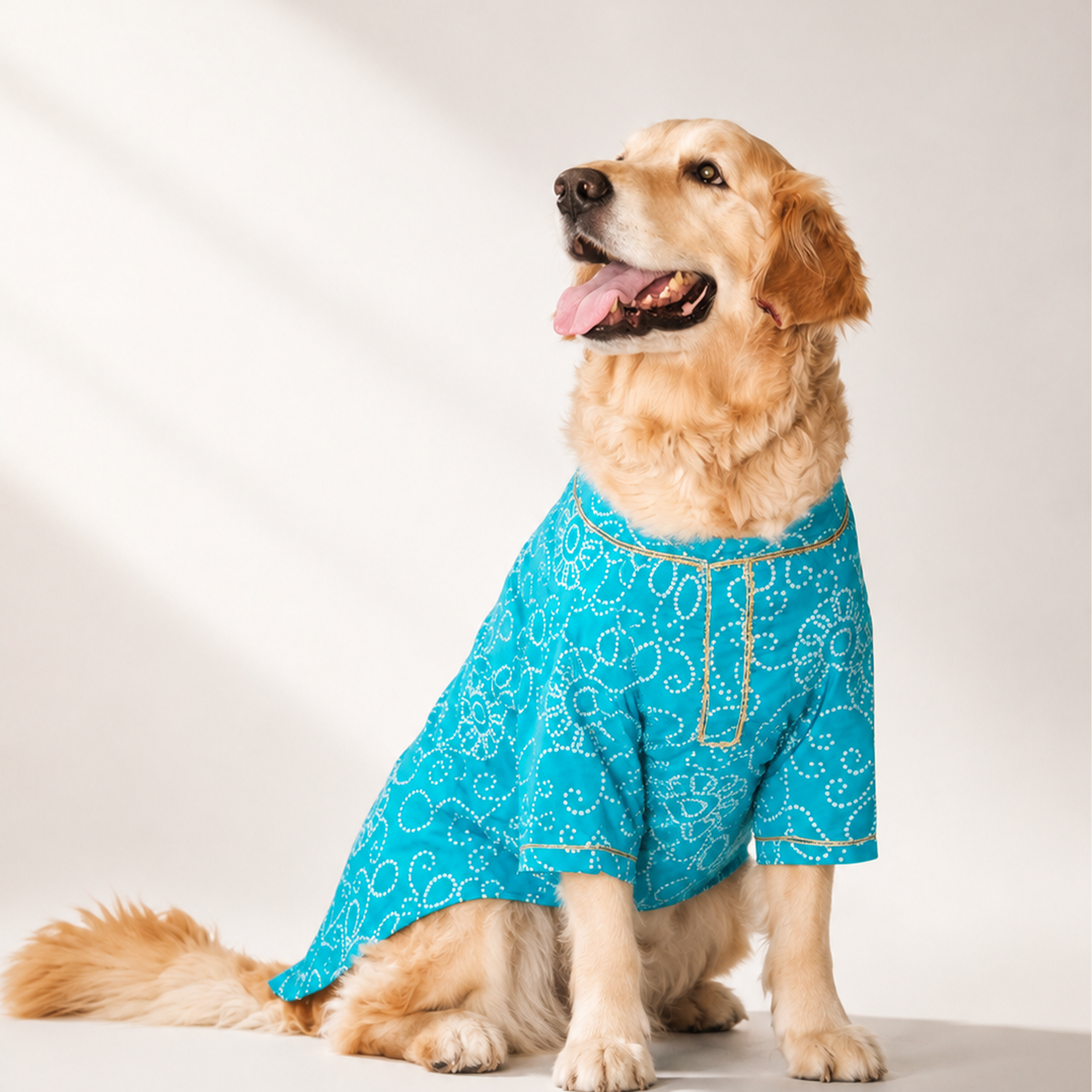 Bandhani - Blue Dog kurta