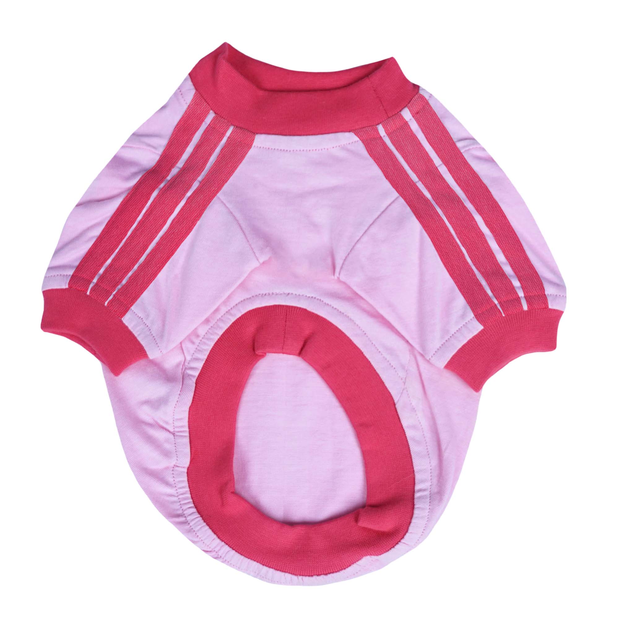 Dive In Stripes - Blush Dog TShirt
