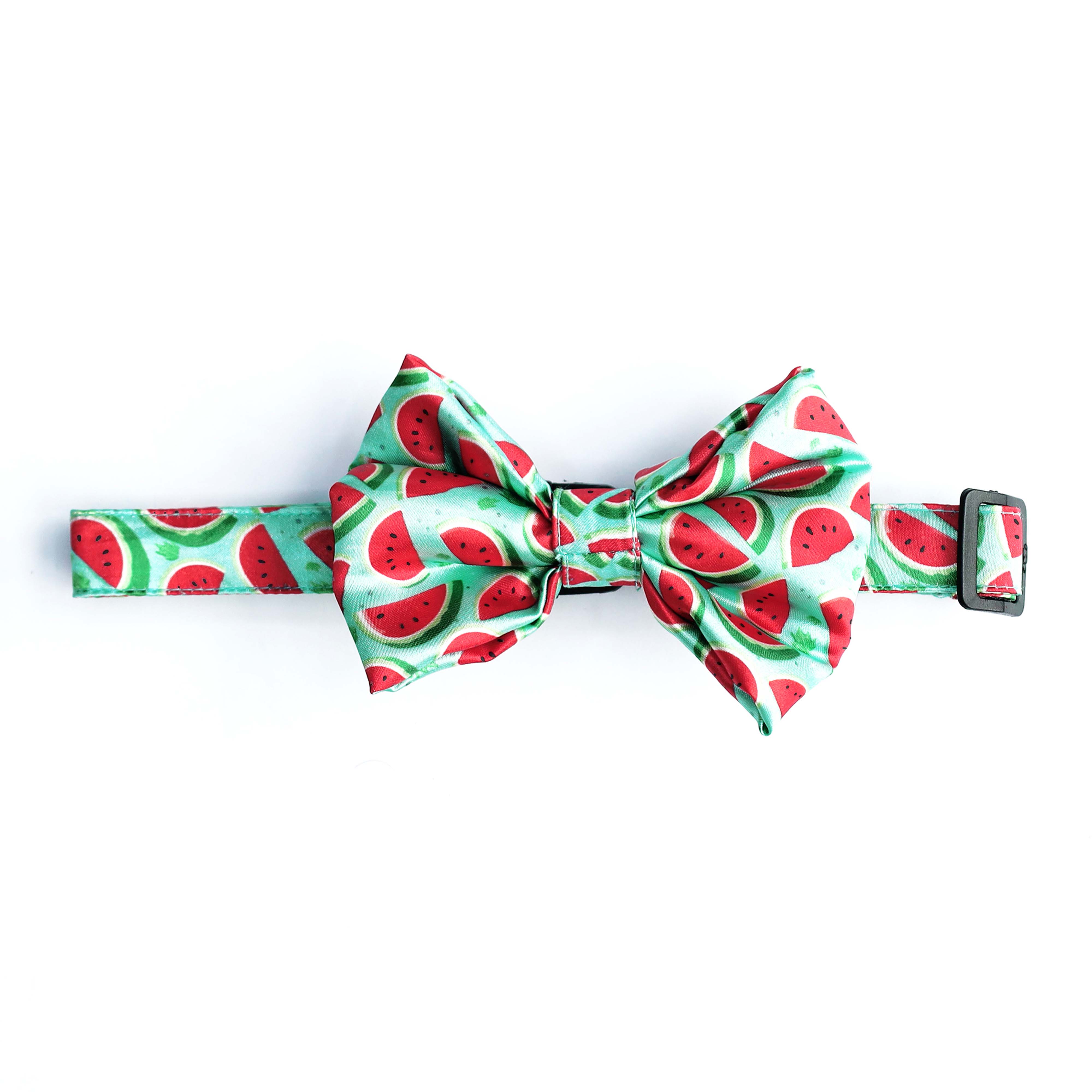 Watermelon - Bow Tie