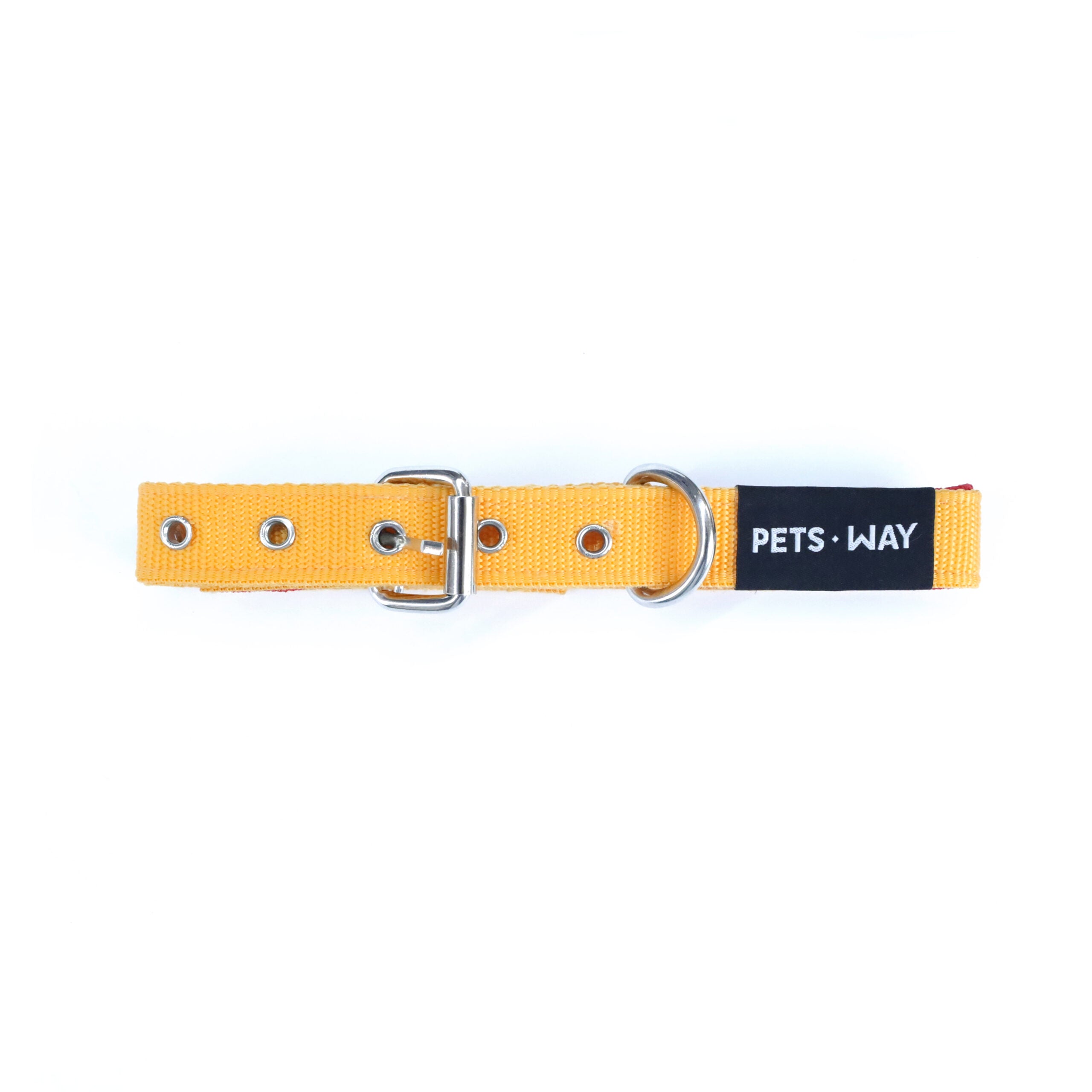 Butterscotch Every Day Dog Collar