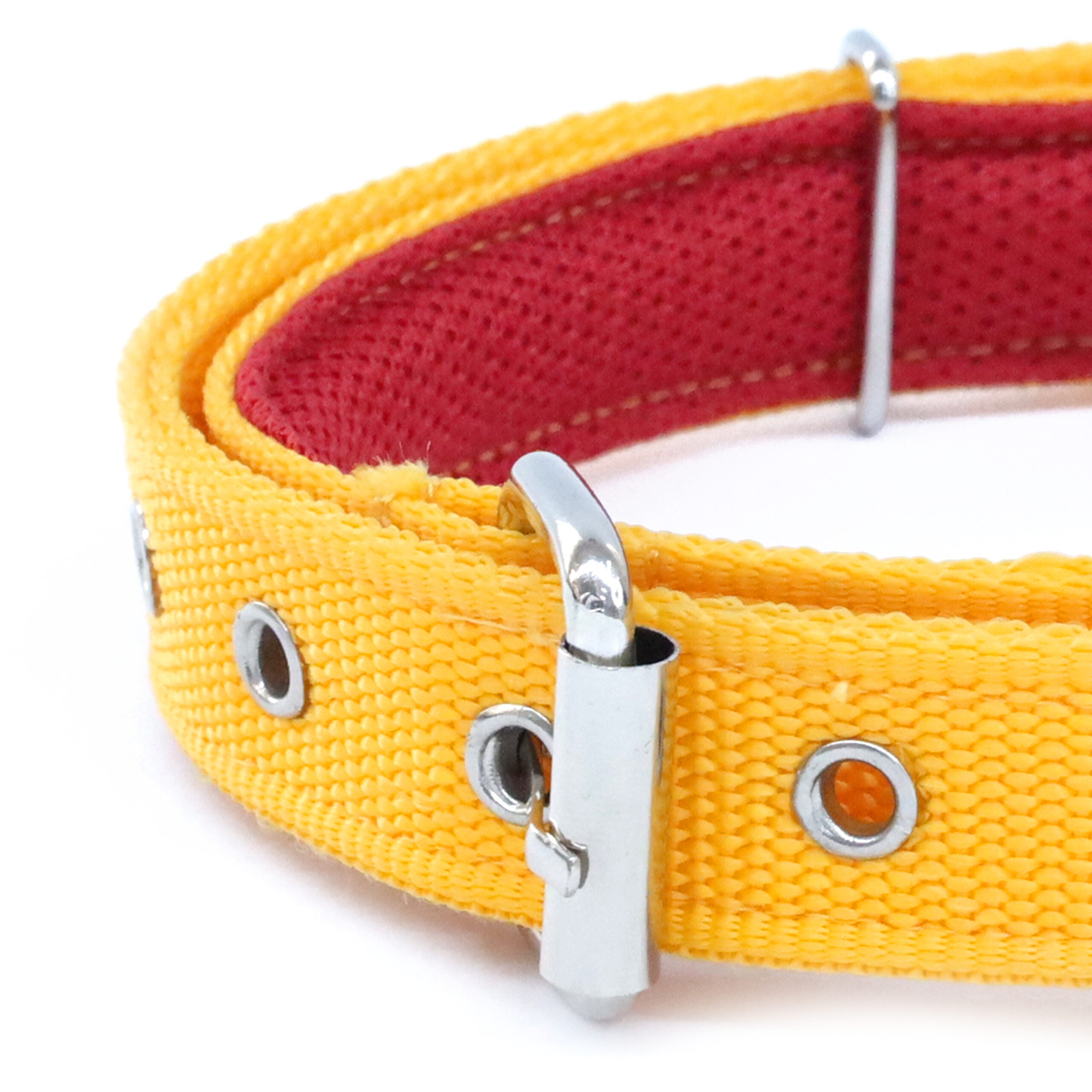 Butterscotch Every Day Dog Collar