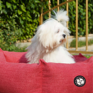 Cherry Dog (Hexagonal Bed)