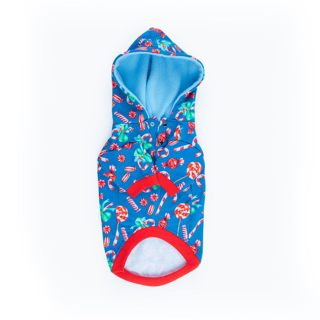 Front of Candy Hoodie Petsway