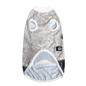 Catzilla Cat Tshirt