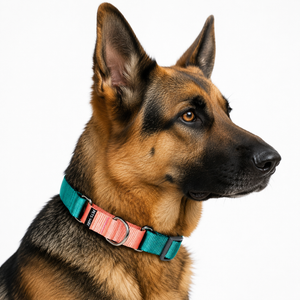 EMERALD & PEACH MARTINGALE COLLAR