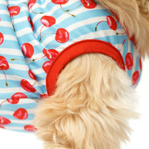 dog seelev of Cherry Land Printed Dog Vest-petsway
