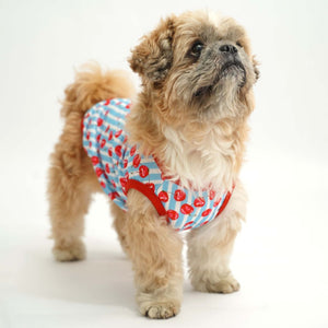 dog wear Cherry Land Printed Dog Vest -petsway