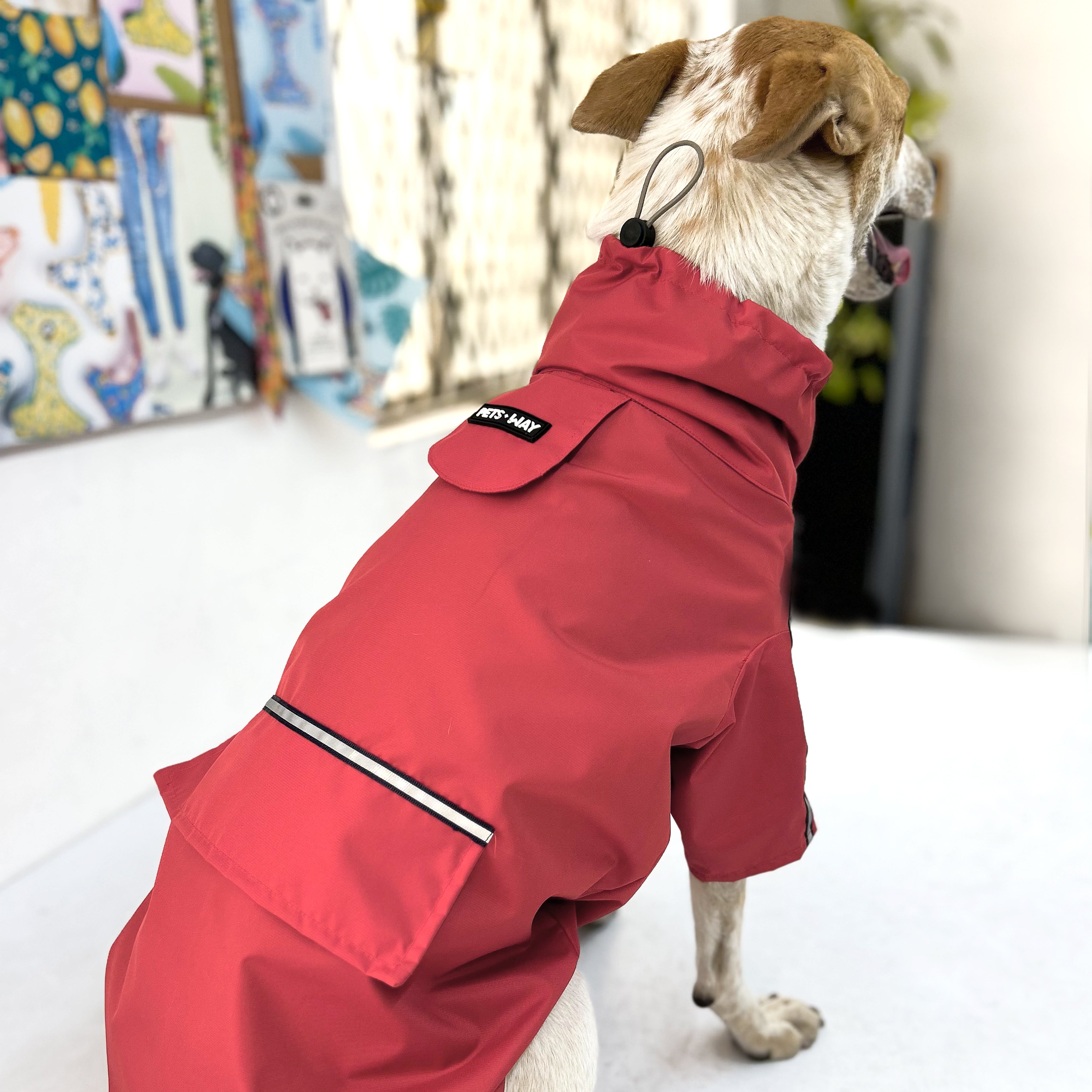 Cloud Dog Raincoat - Cherry