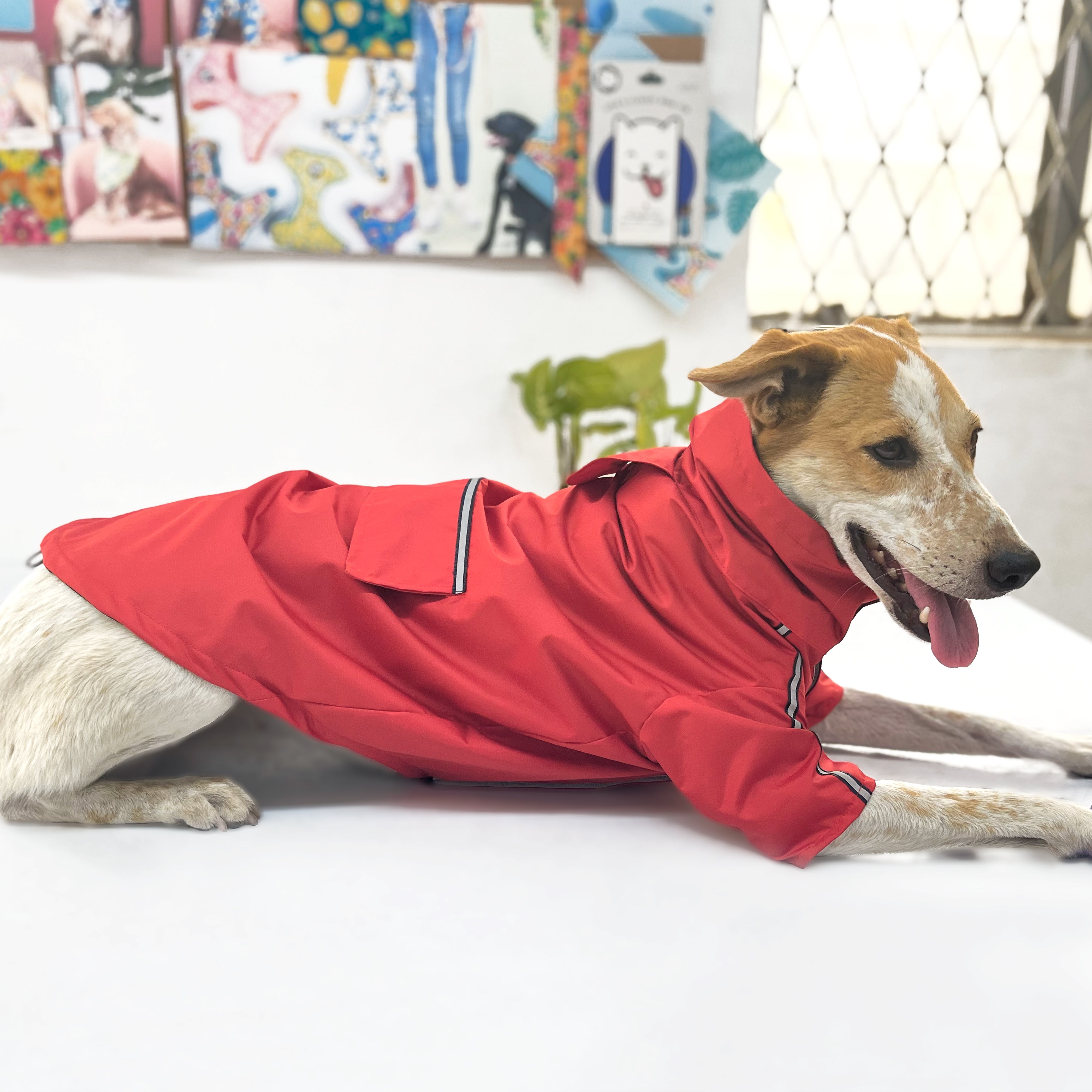 Cloud Dog Raincoat - Cherry