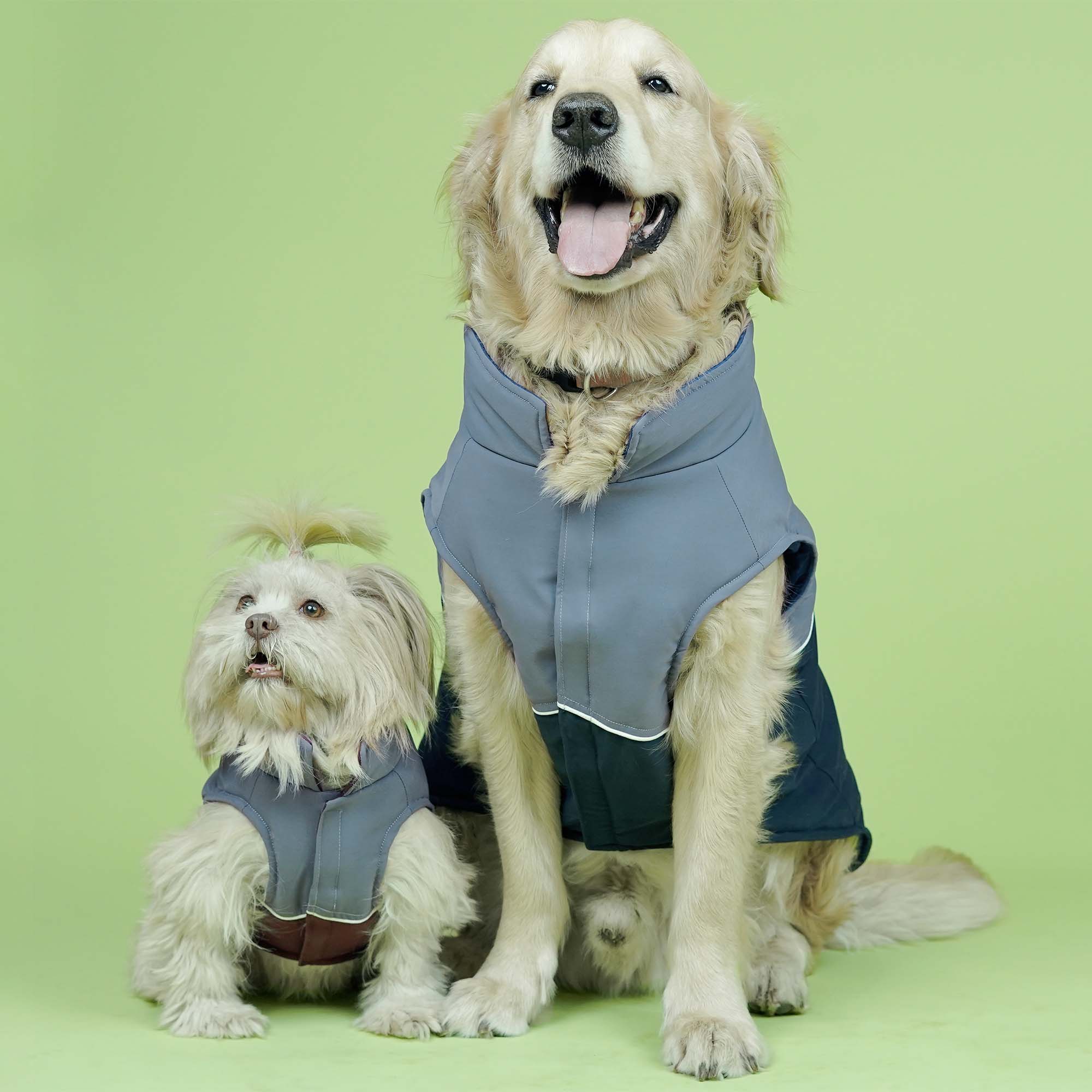 Frost- Navy Dog Jacket