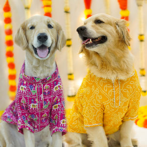 Patola Bandhani - Afterglow Dog Kurta Combo