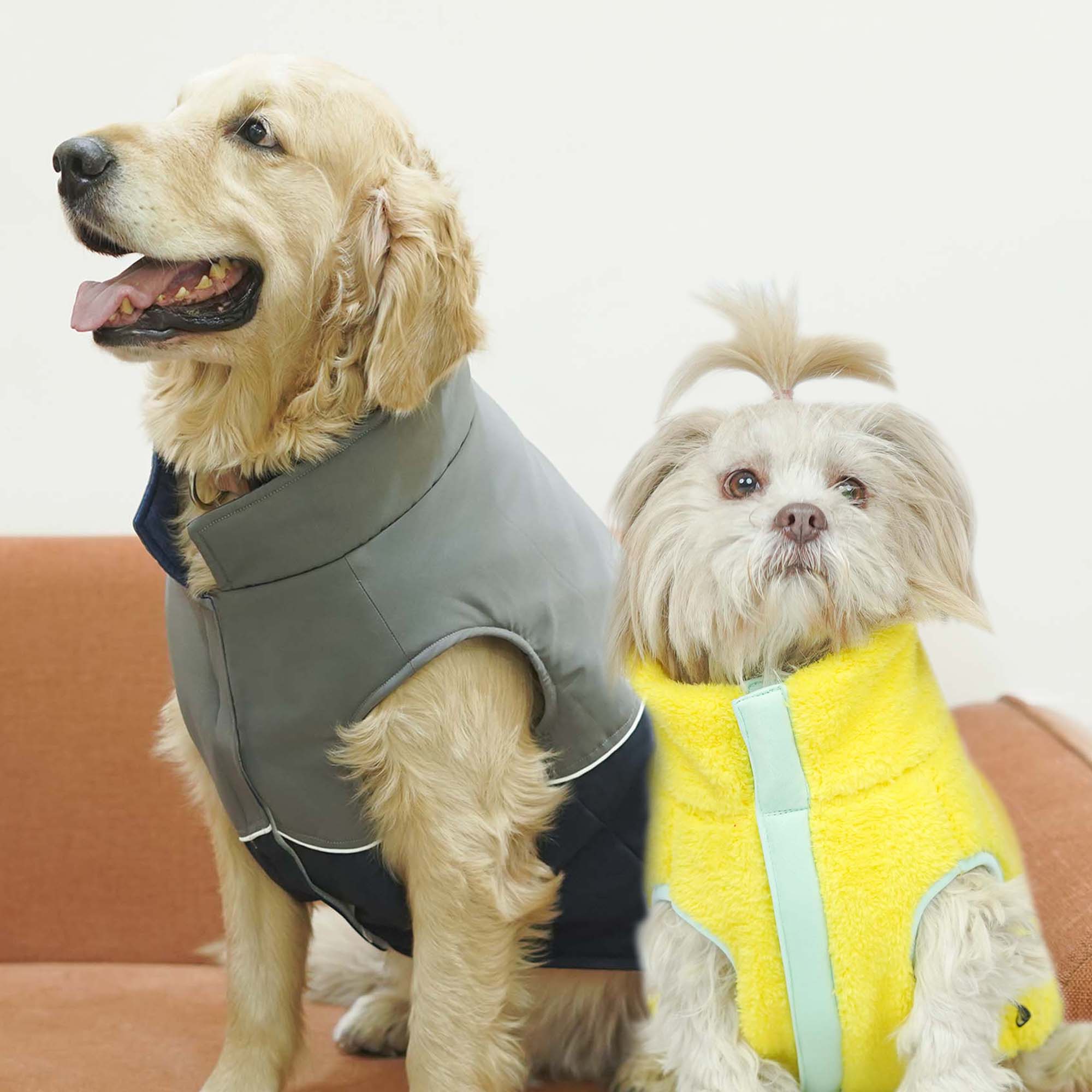 Crazy Frost- Navy Dog Jacket