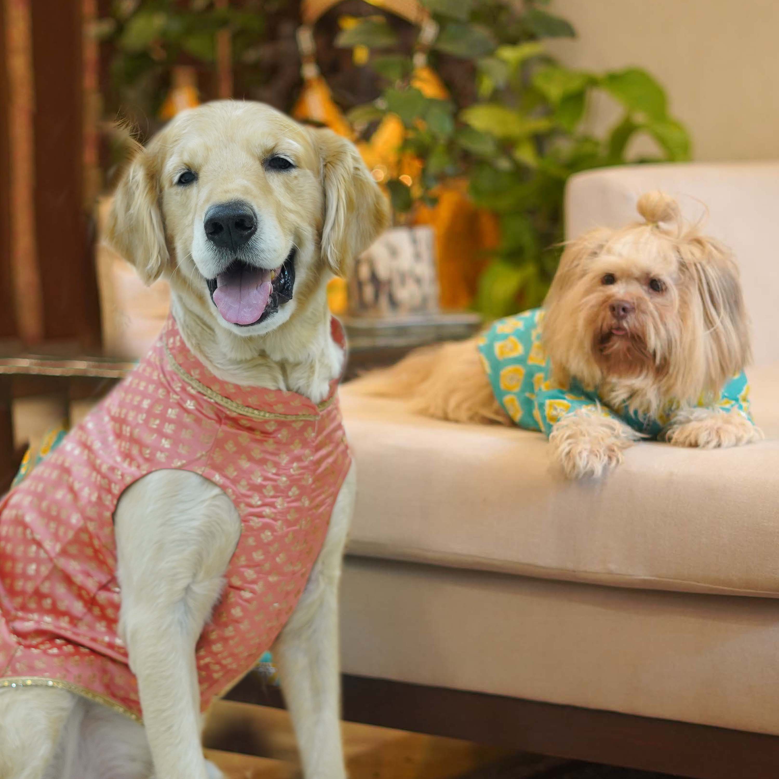 Nawab & Ikat Dog kurta Combo