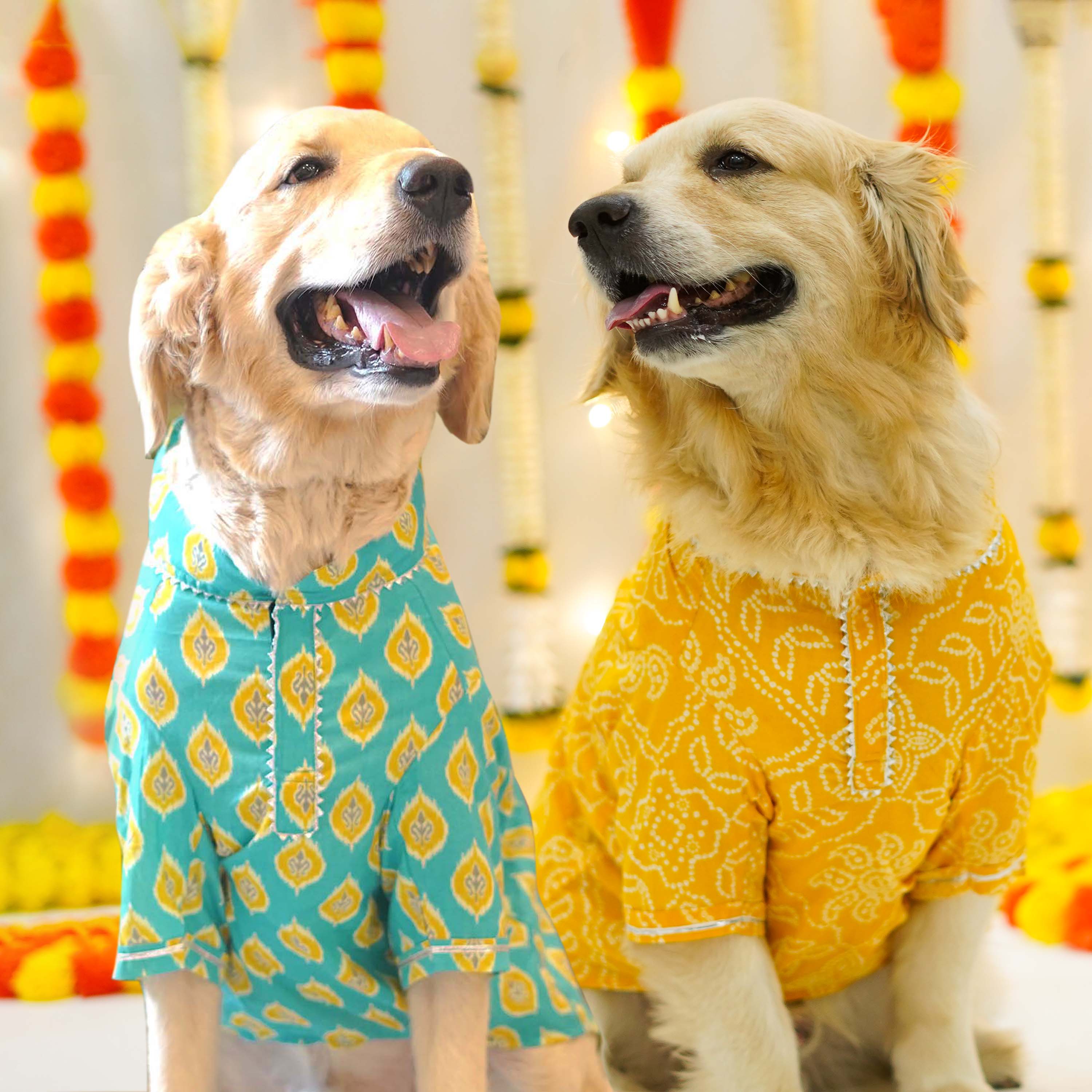 Bandhani Ikat  - Dog Kurta Combo