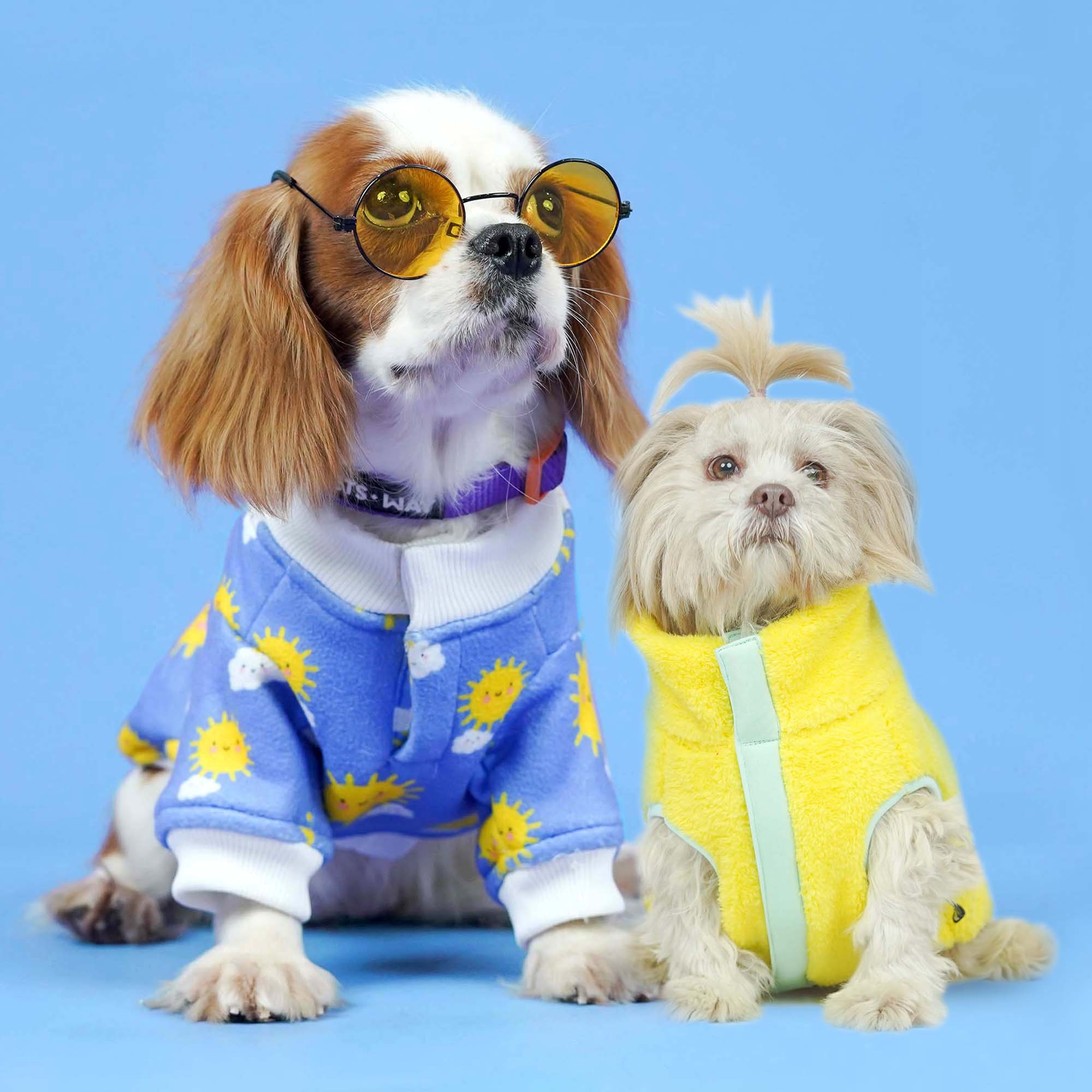 Crazy Sunlight - Combo