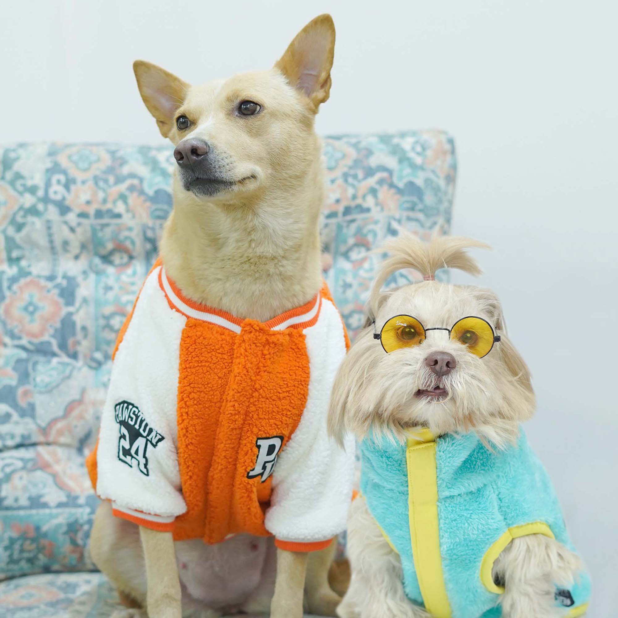 Crazy Pawsity – Tangerine Dog Jacket