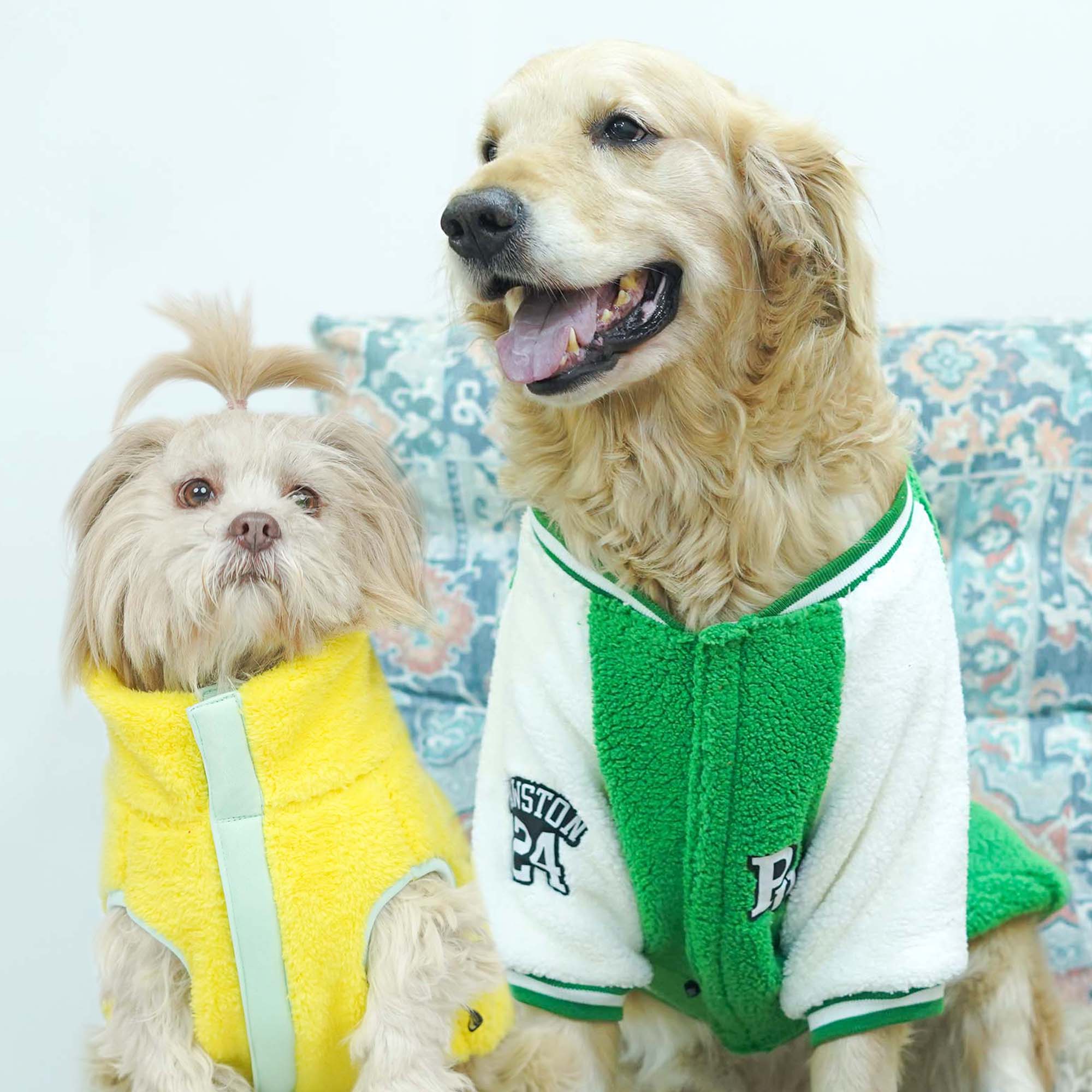 Crazy Pawsity – Leaf Dog Jacket