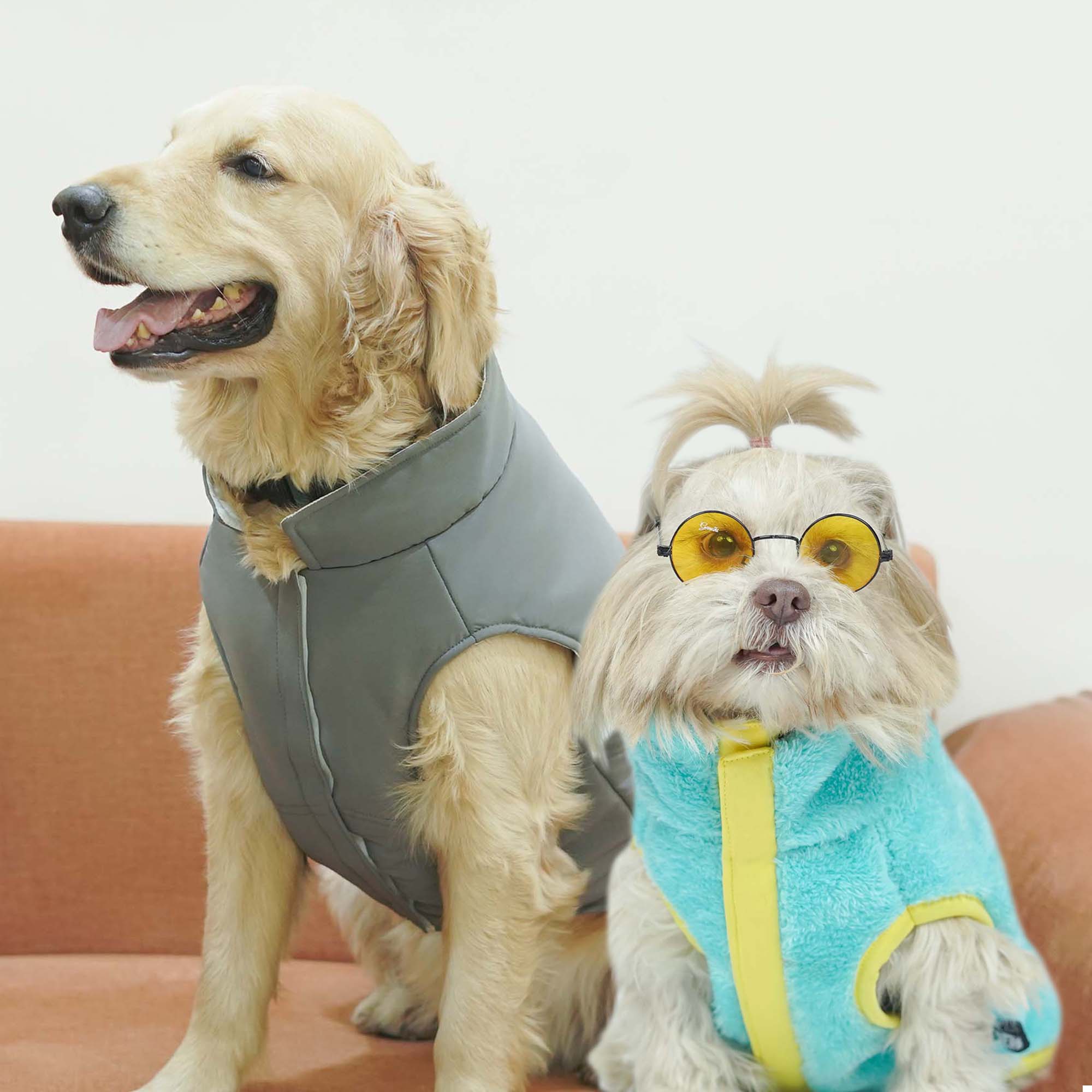 Crazy Frost- Grey Dog Jacket