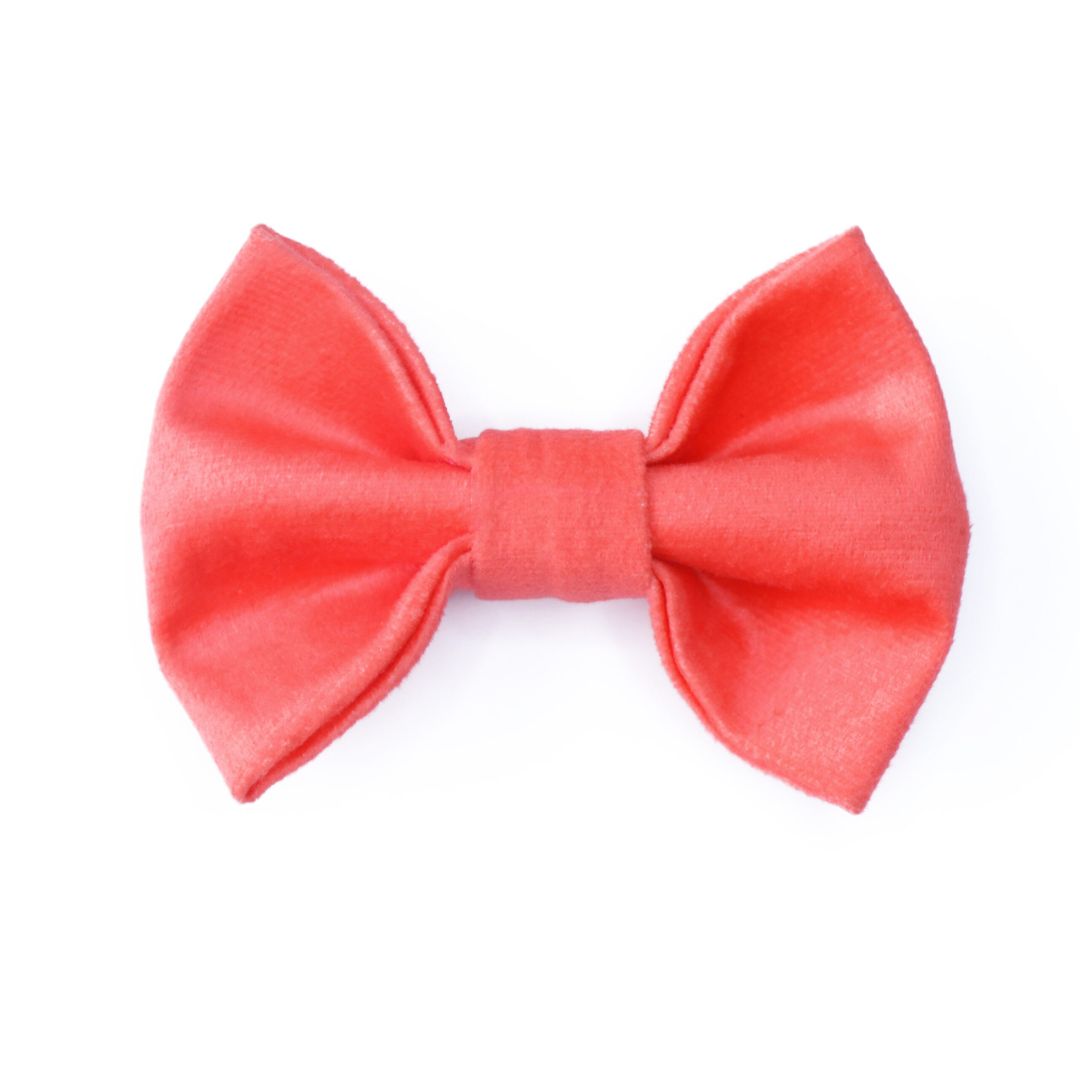 Coral Luxury Velvet Bow Tie-Petsway