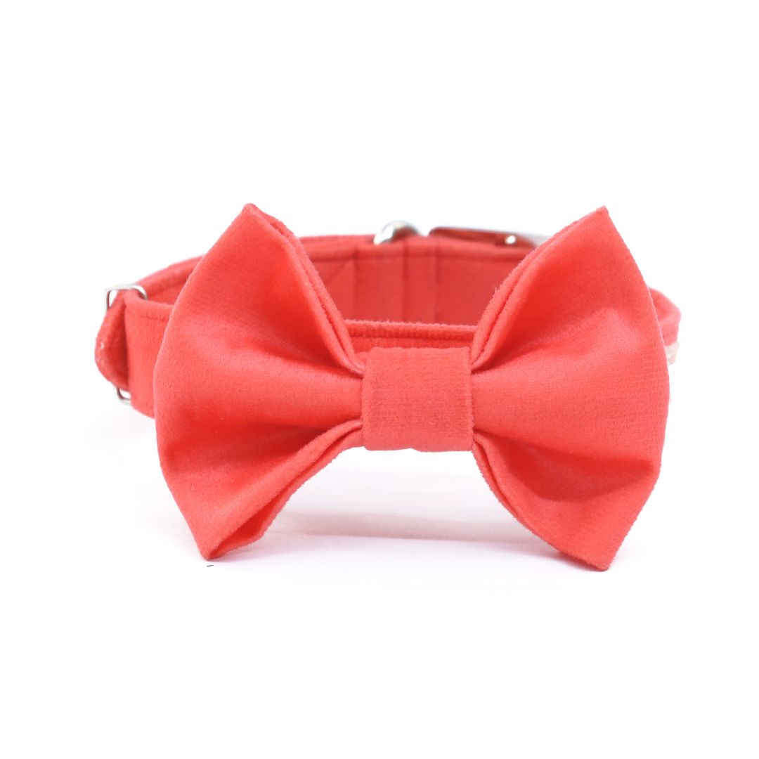 full size of Coral Luxury Velvet Bow Tie-petsway