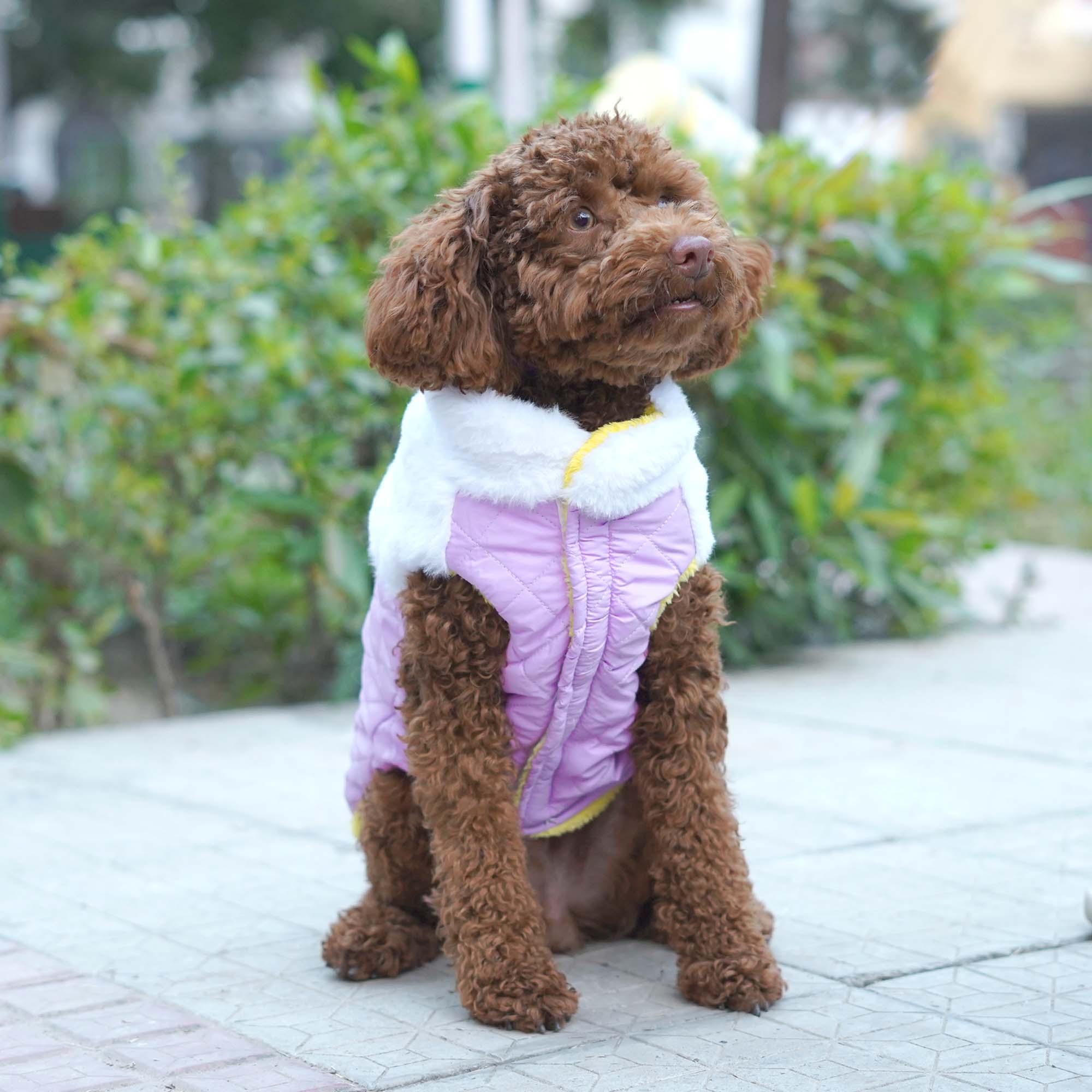 CozyQuilt - Mauve Reversible Dog Jacket