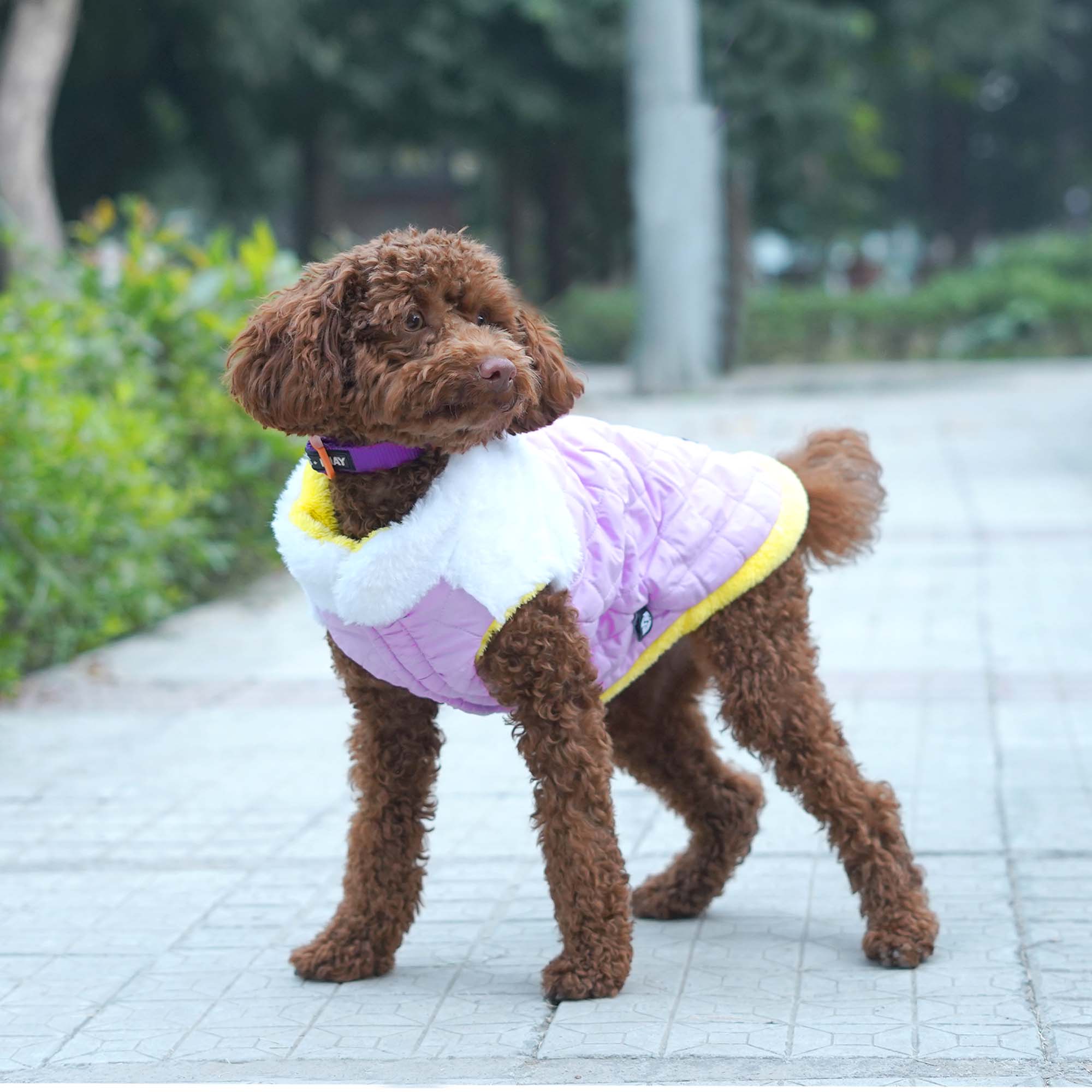 CozyQuilt - Mauve Reversible Dog Jacket