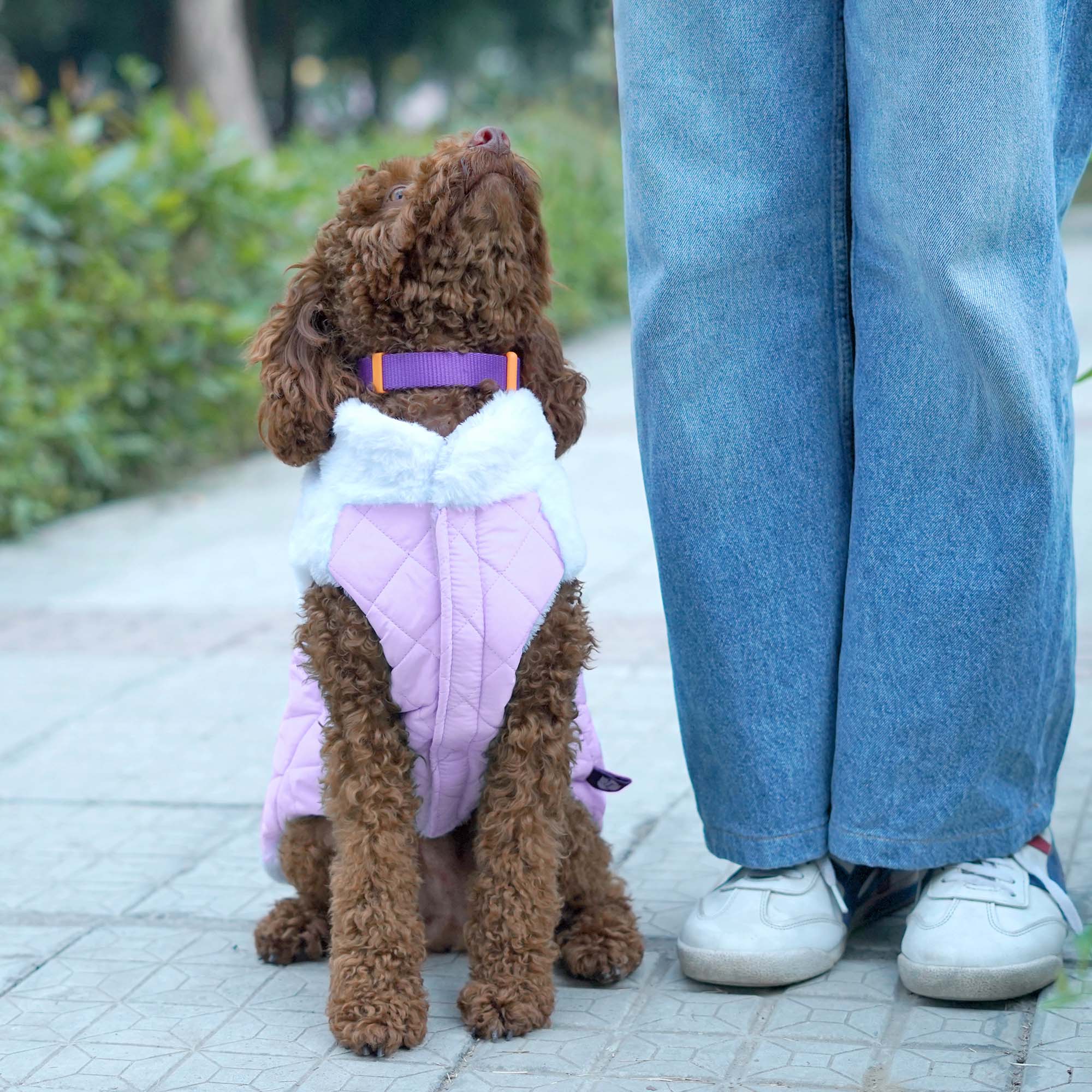 CozyQuilt - Mauve Reversible Dog Jacket