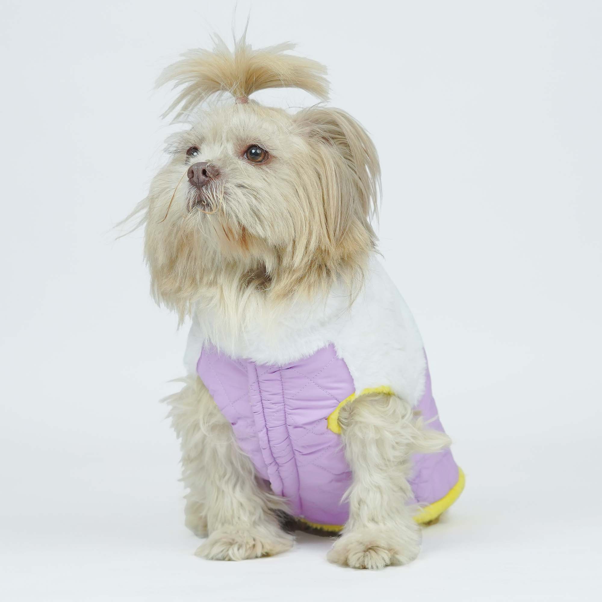 CozyQuilt - Mauve Reversible Dog Jacket