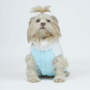 CozyQuilt - Sky Reversible Dog Jacket