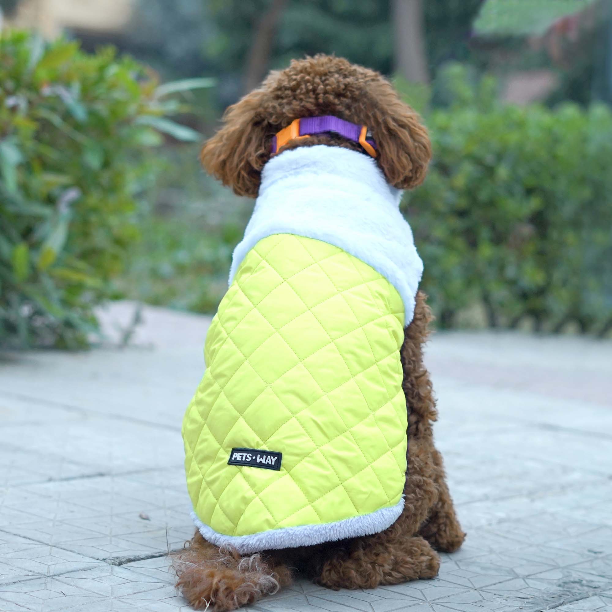 CozyQuilt - Yellow Reversible Dog Jacket